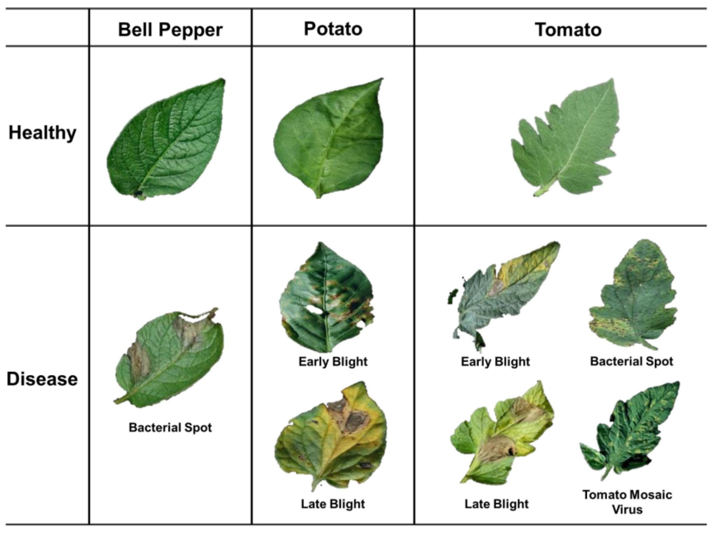 Preprints 161359 g001