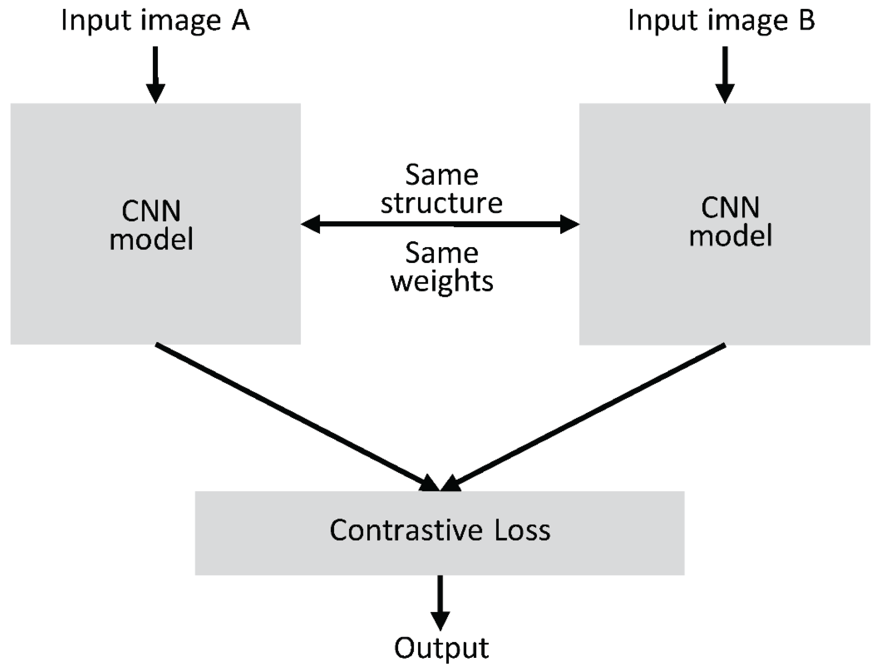 Preprints 161359 g005