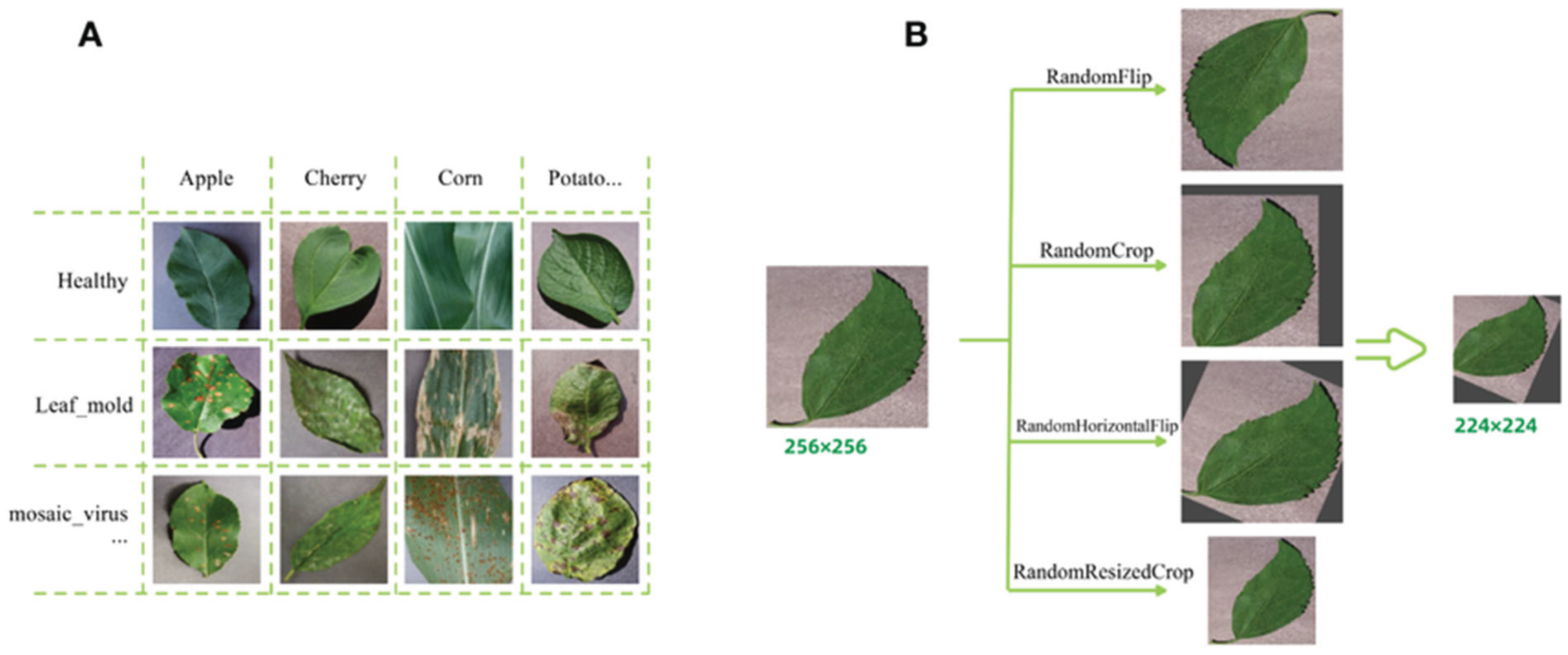 Preprints 161359 g007