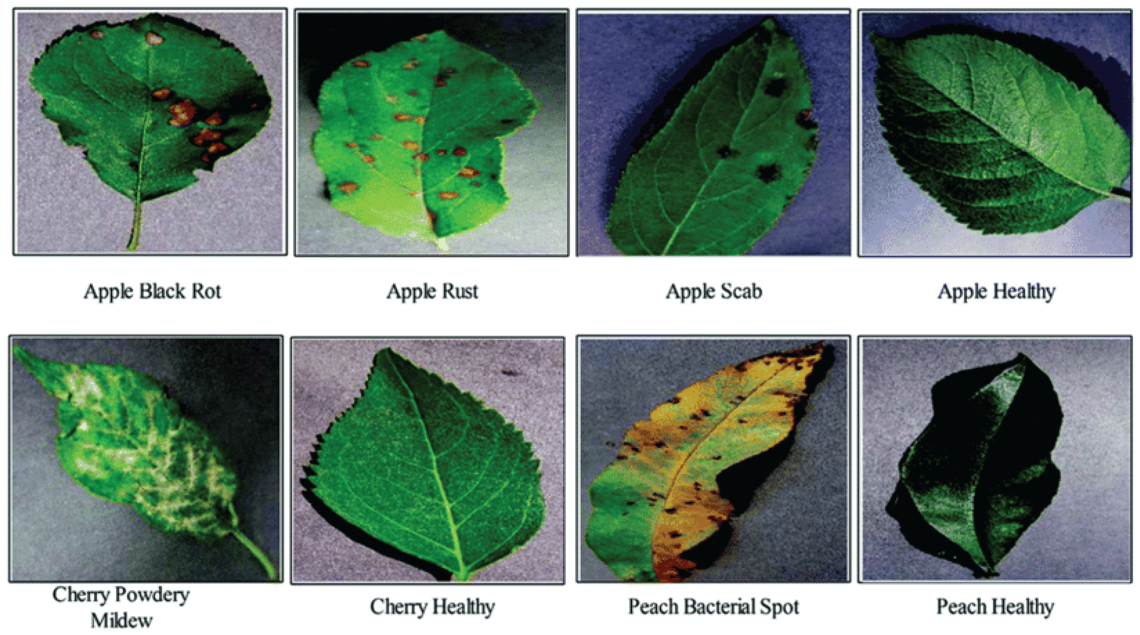 Preprints 161359 g018