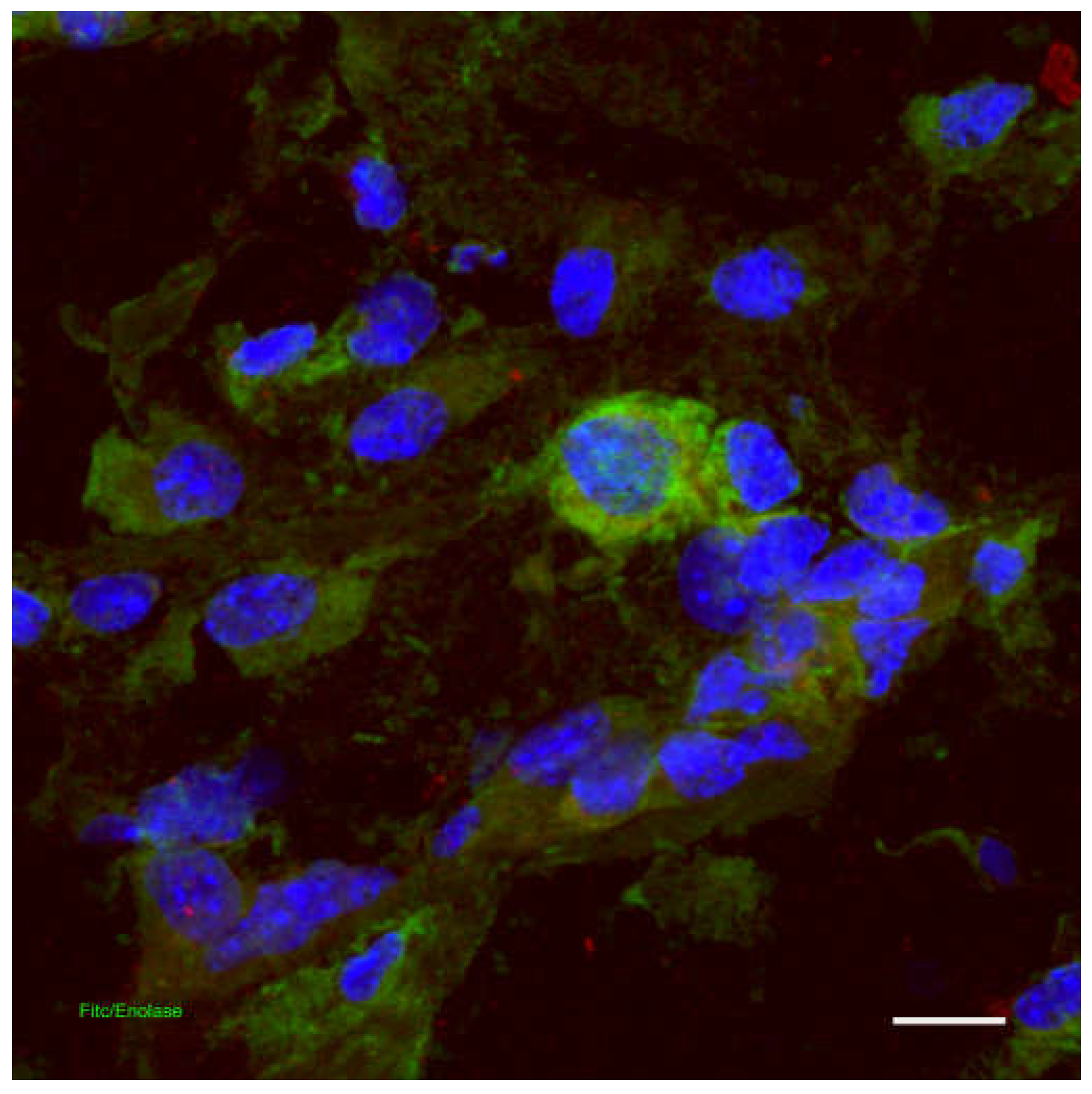 Preprints 104938 g004