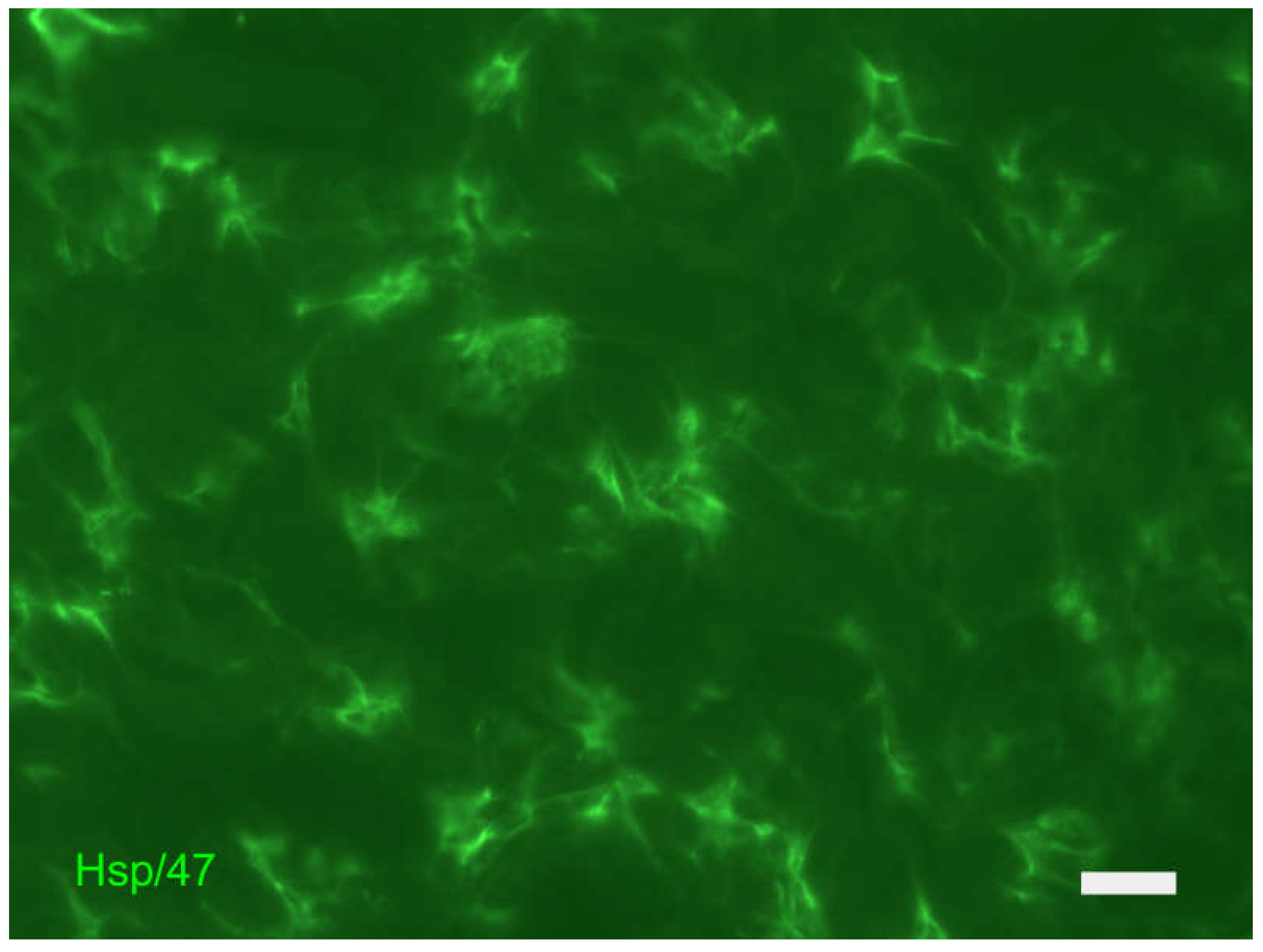 Preprints 104938 g009