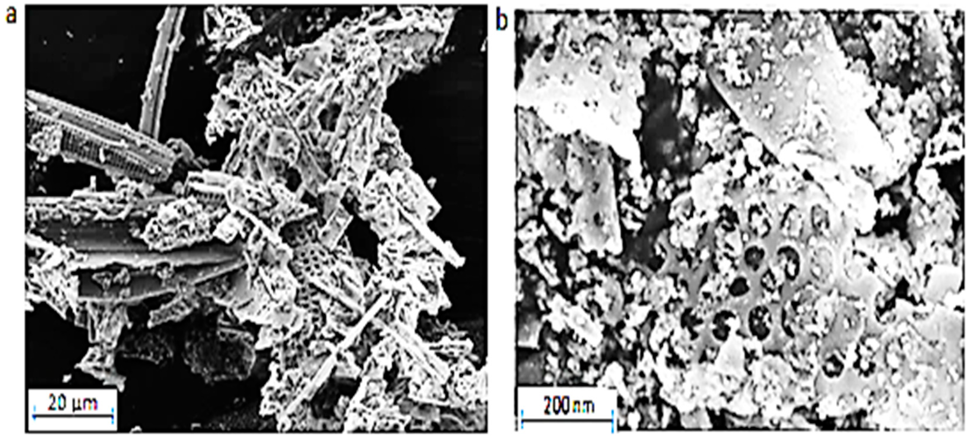 Preprints 143443 g002
