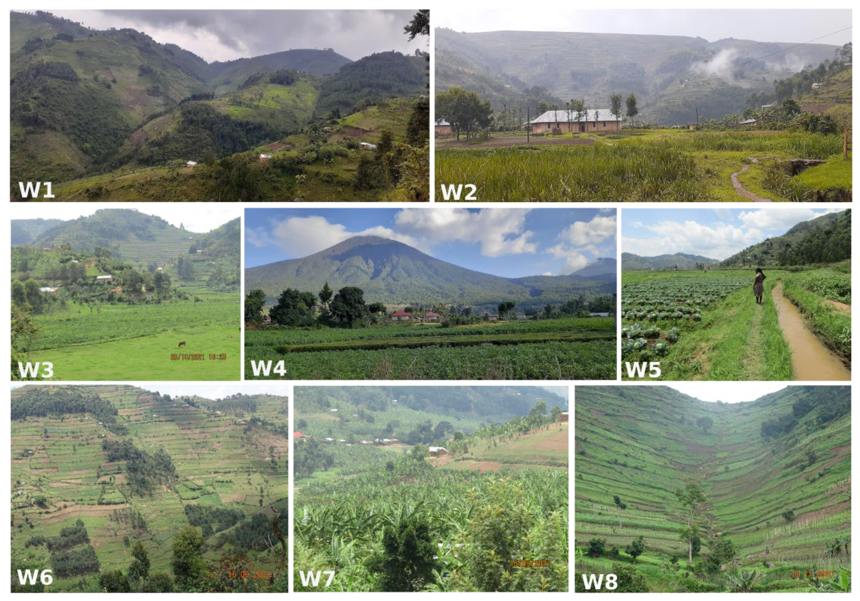 Preprints 143537 g002