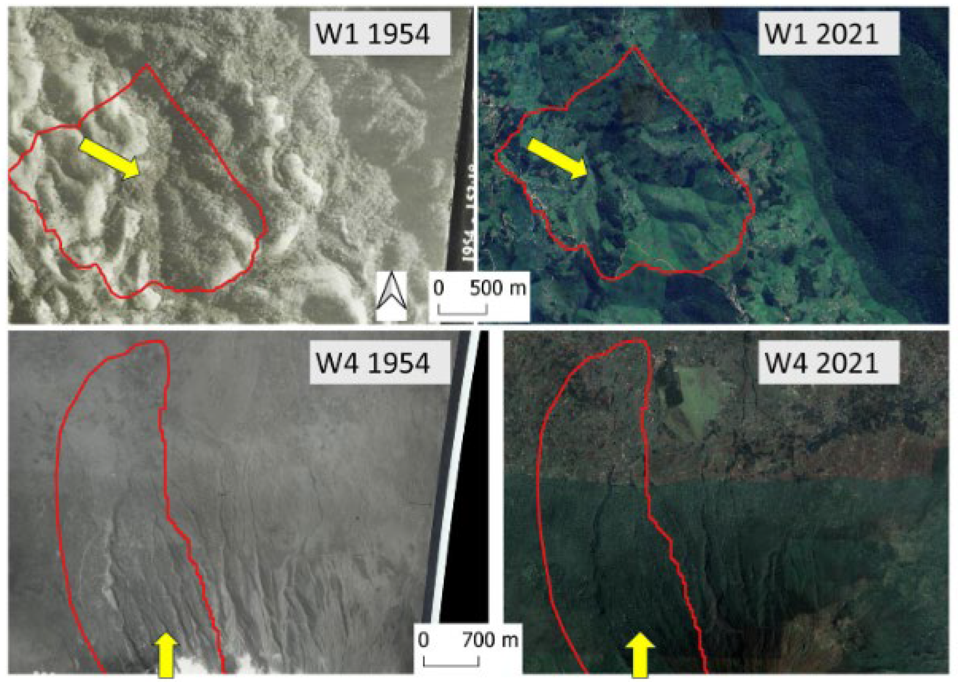 Preprints 143537 g010