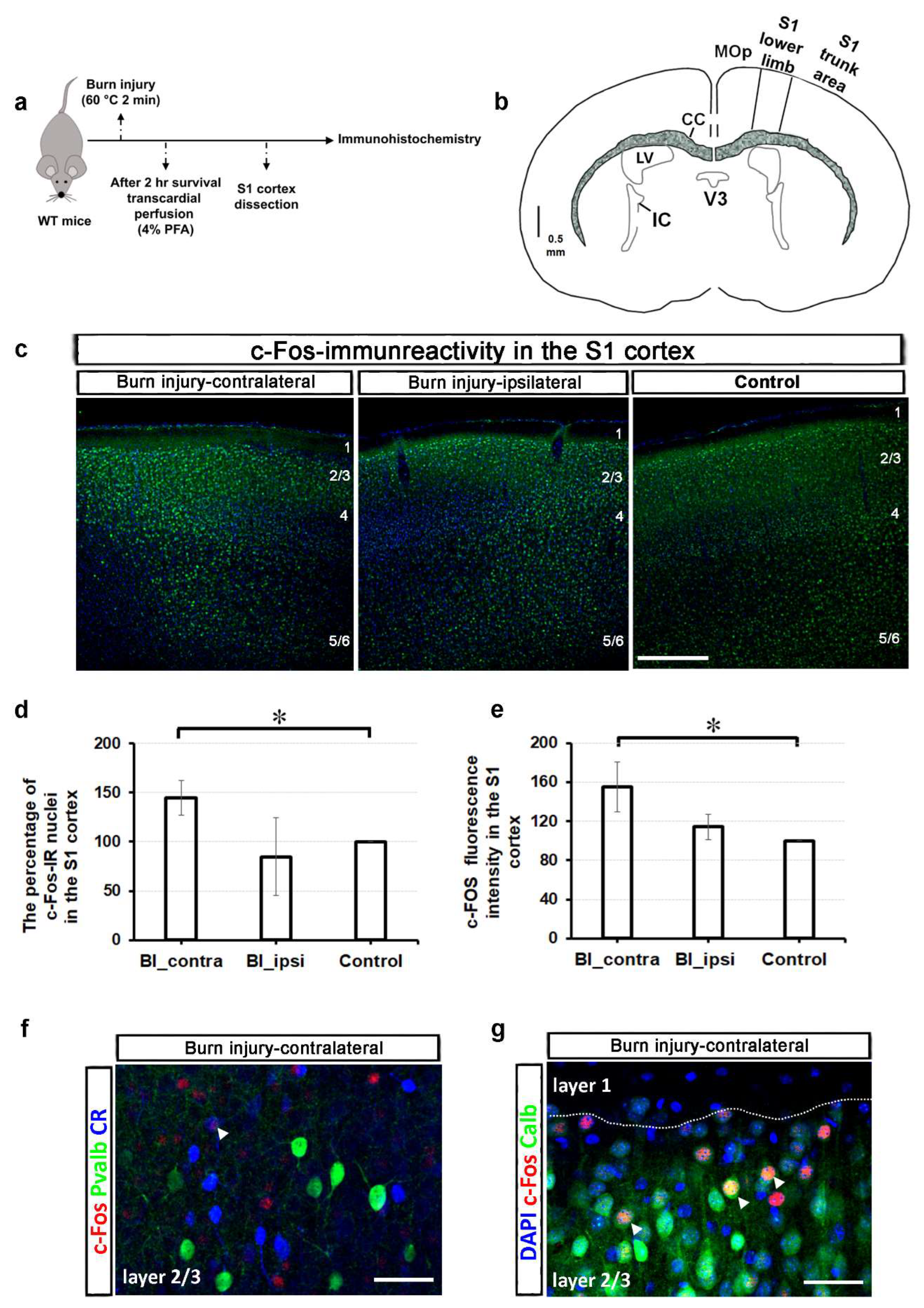 Preprints 149925 g001