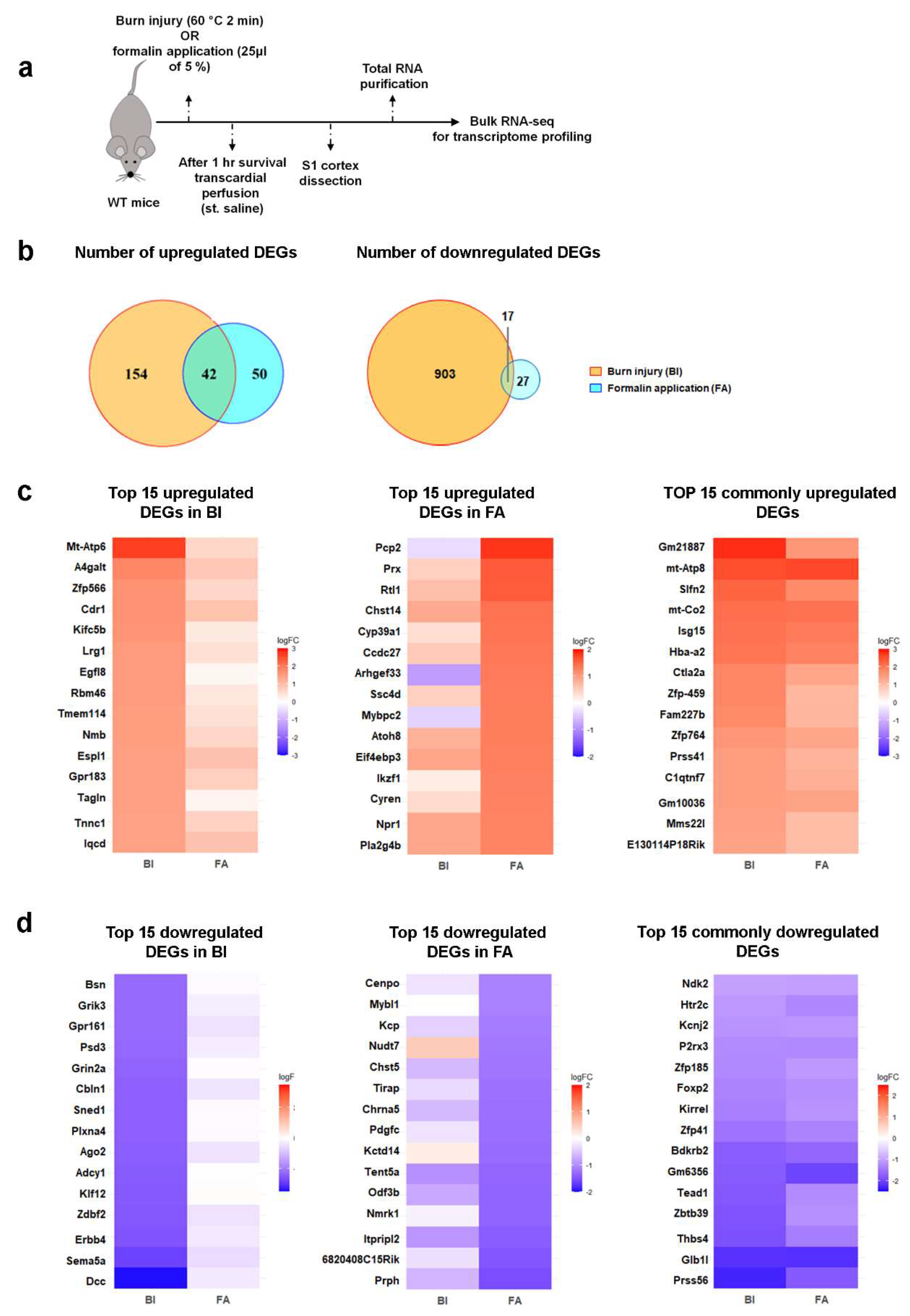 Preprints 149925 g002