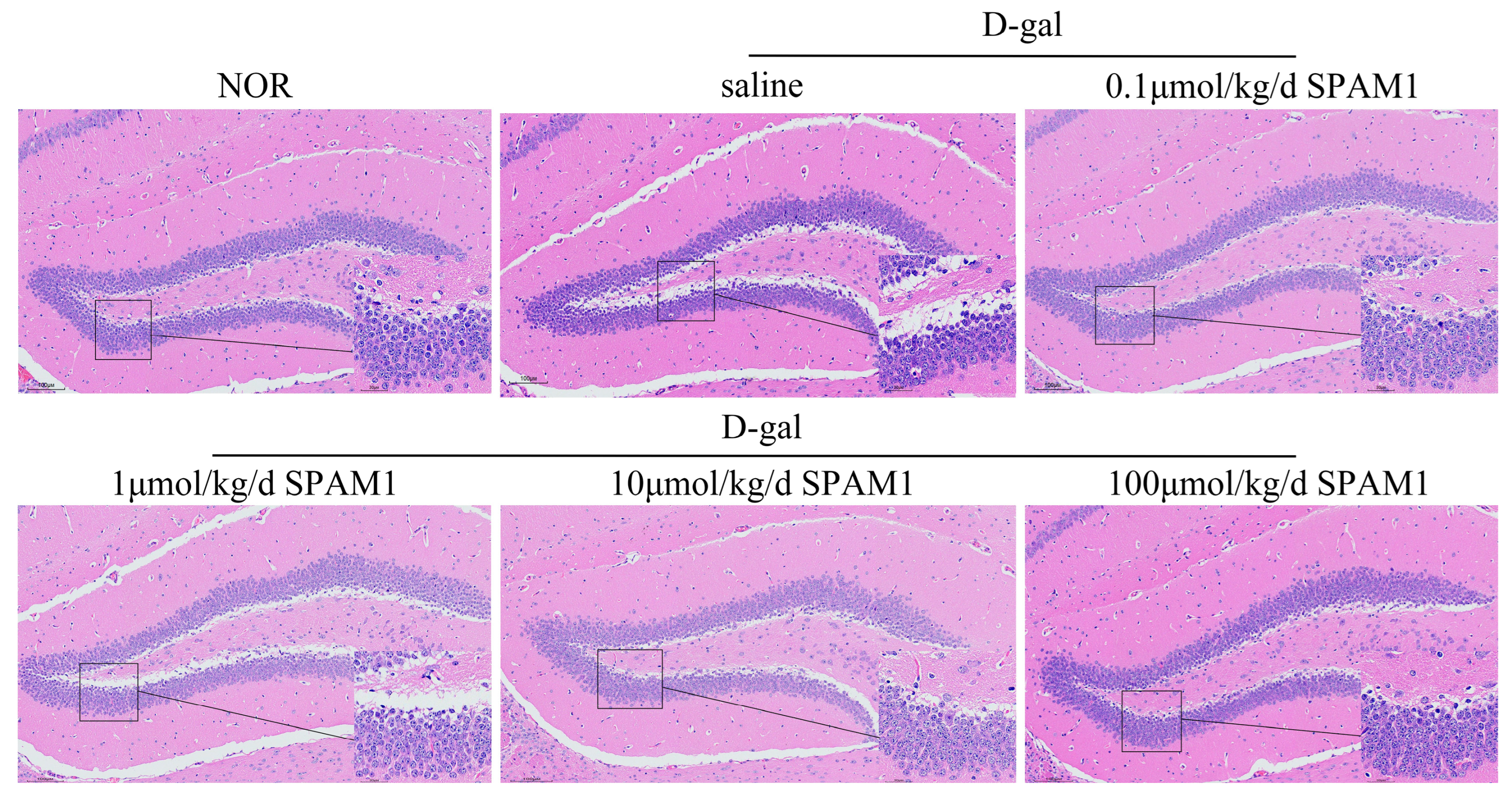 Preprints 100548 g001