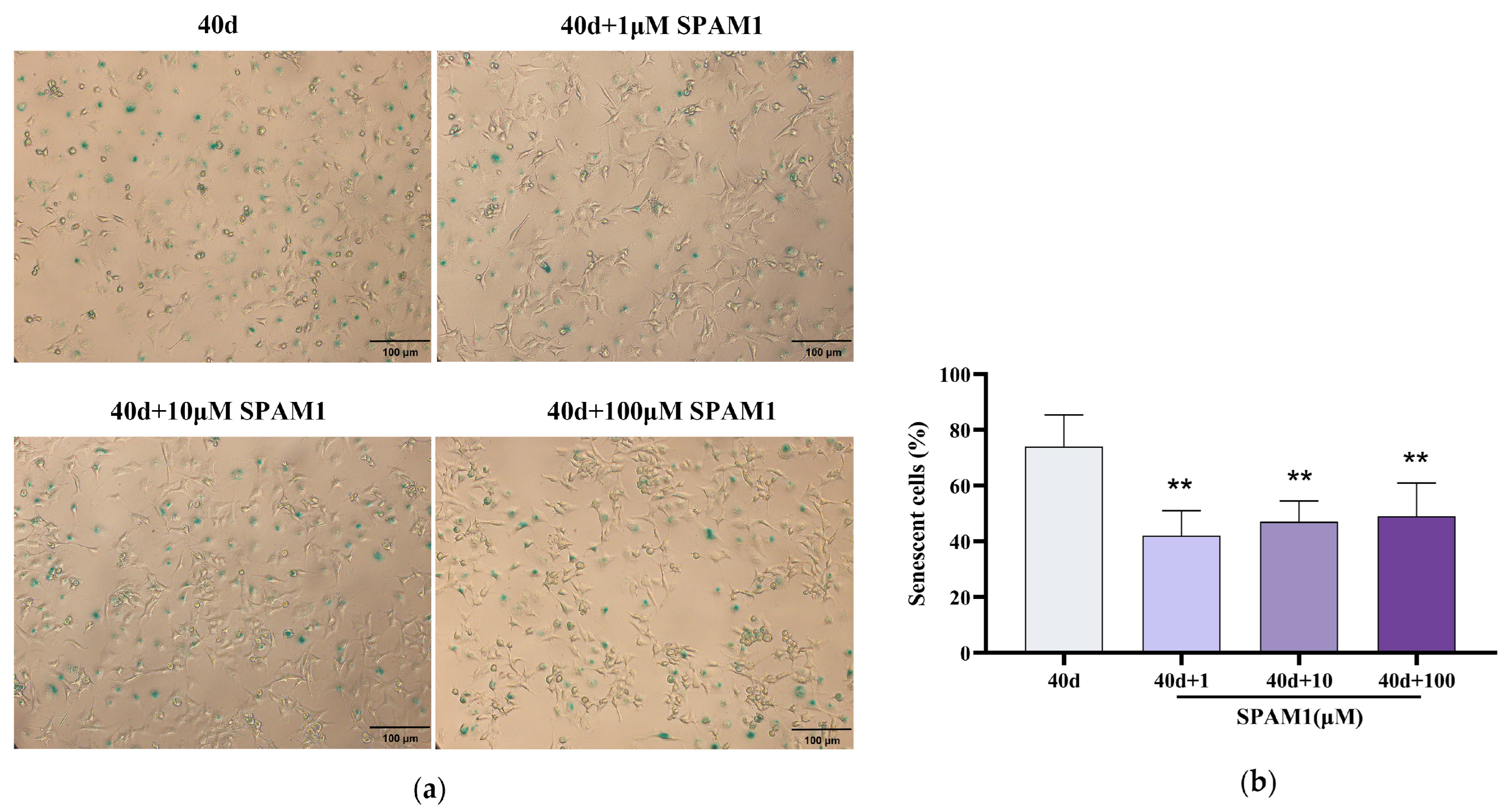 Preprints 100548 g002