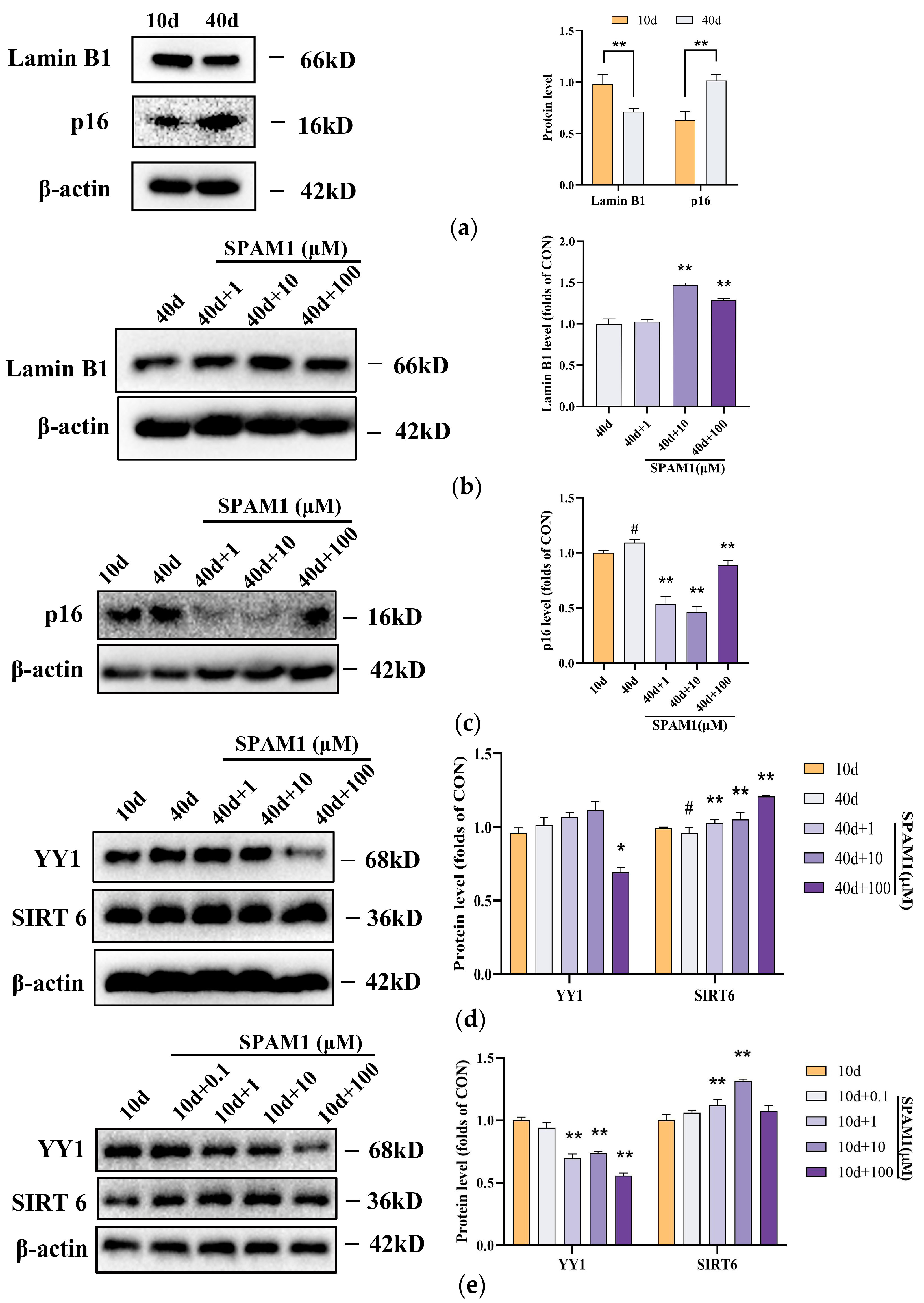 Preprints 100548 g003