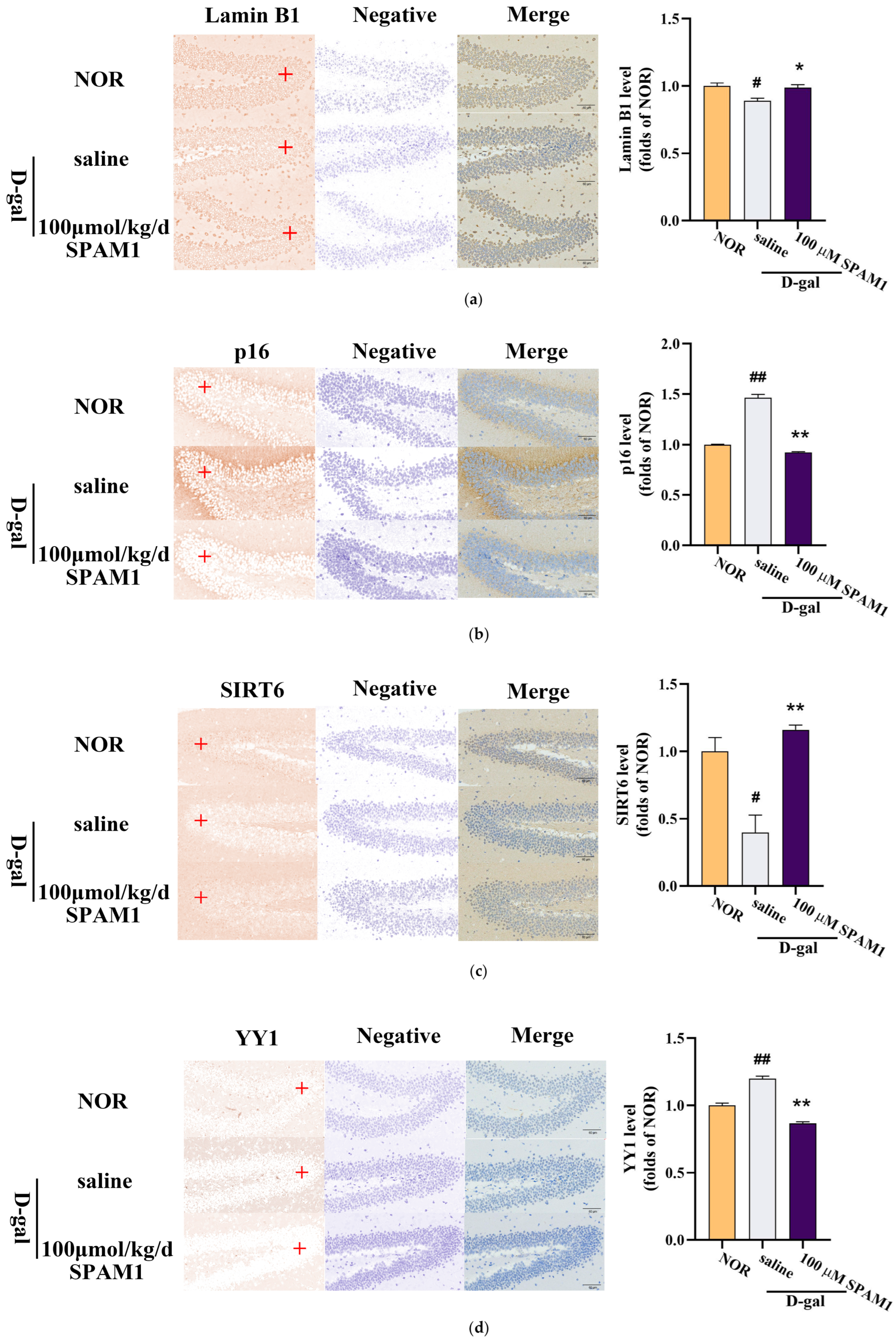 Preprints 100548 g004