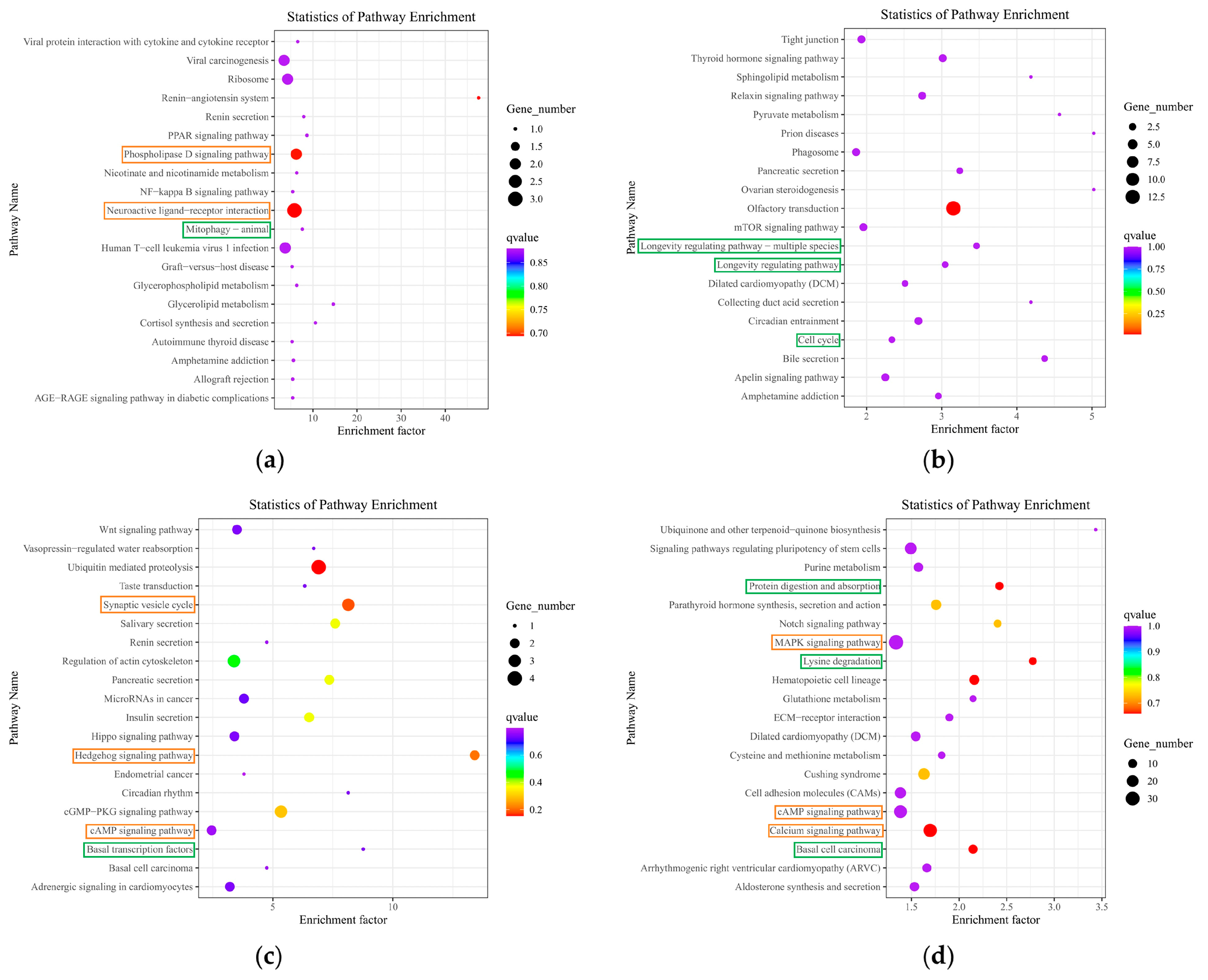Preprints 100548 g008