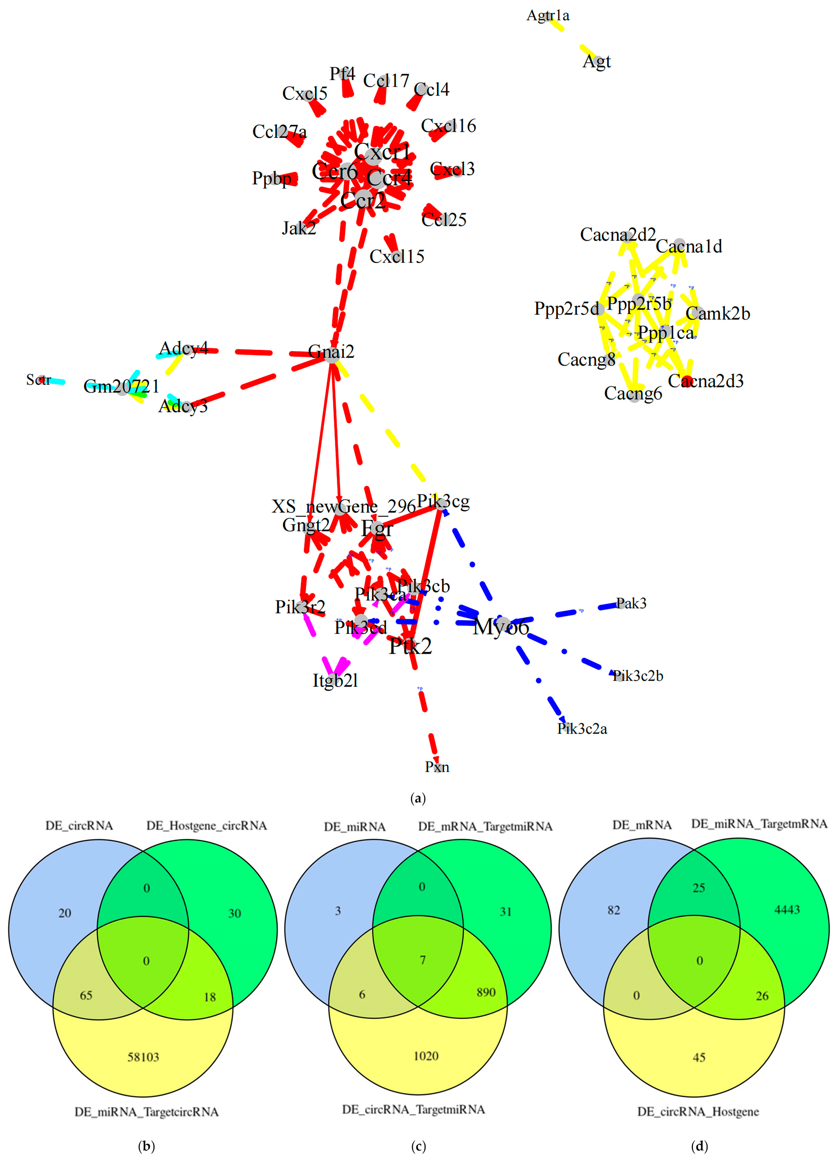 Preprints 100548 g009