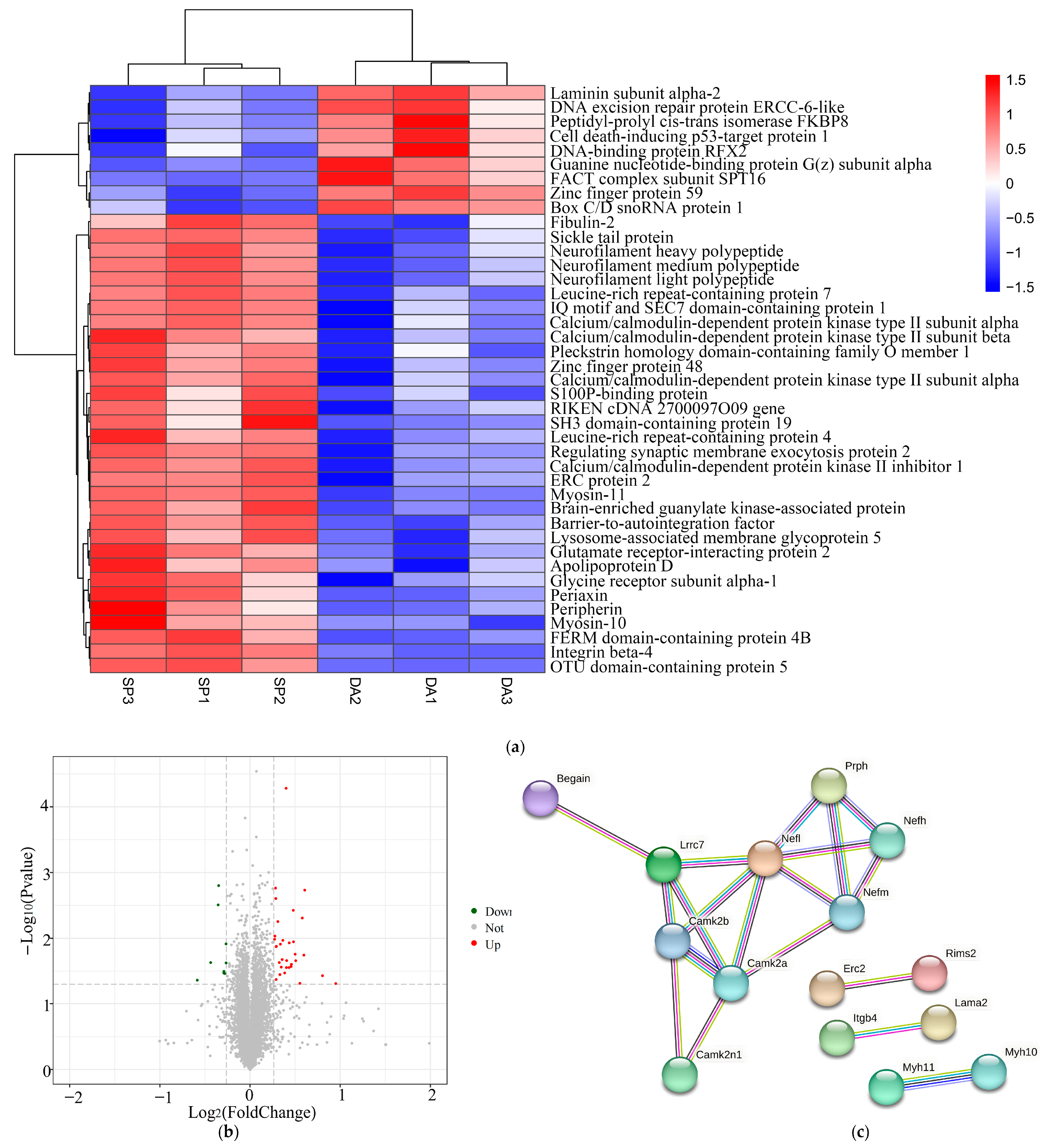 Preprints 100548 g010