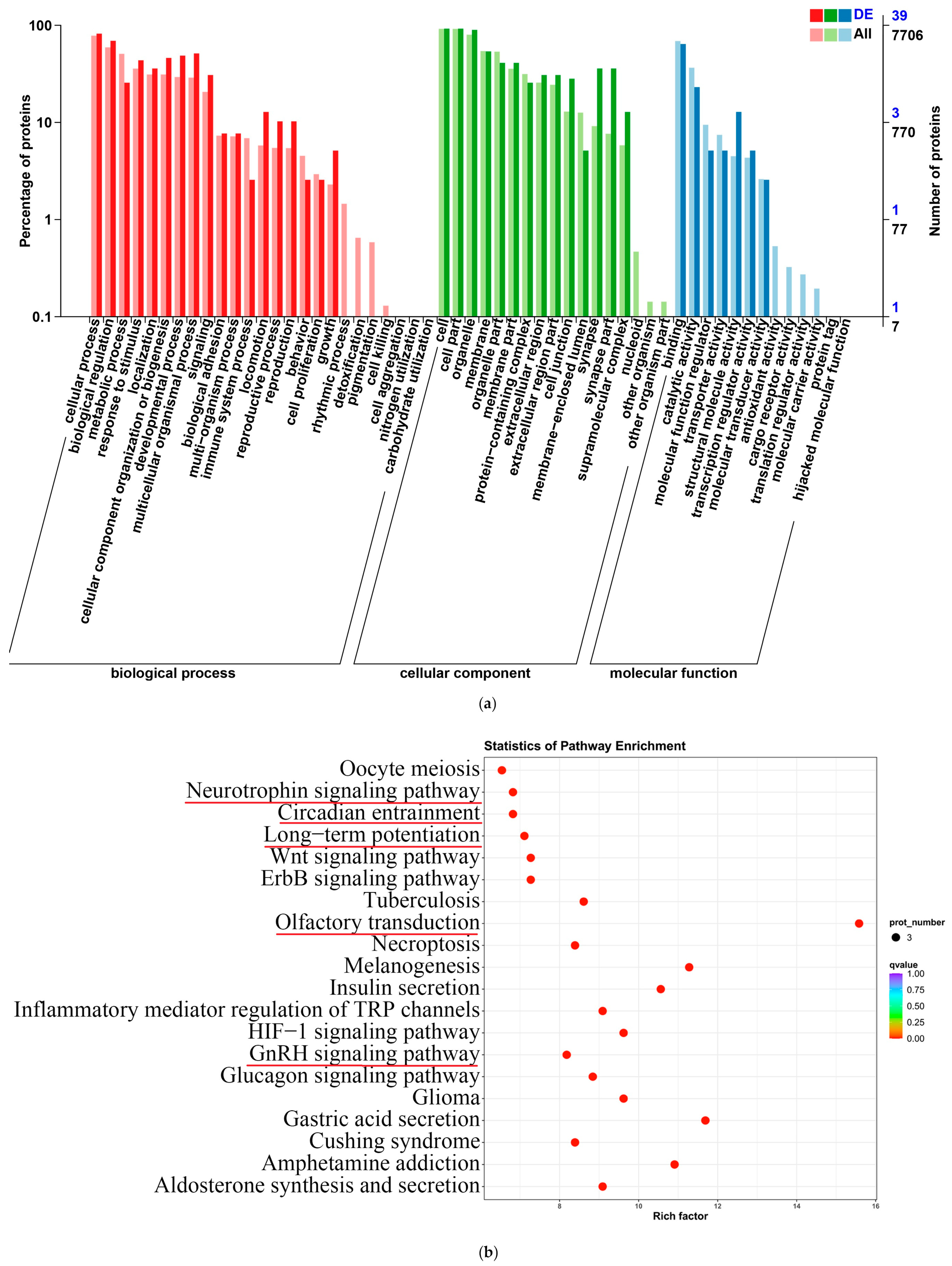 Preprints 100548 g011