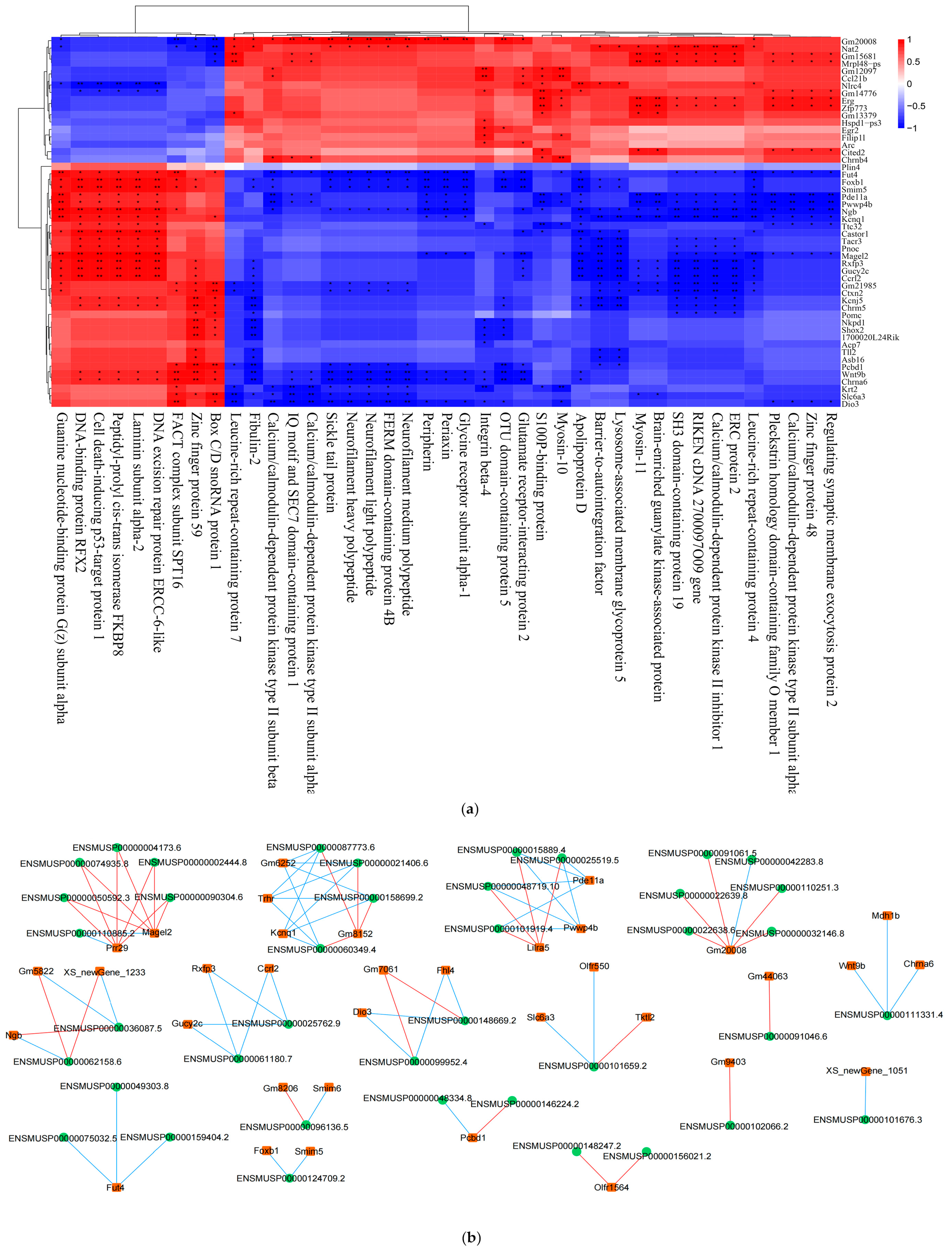 Preprints 100548 g012