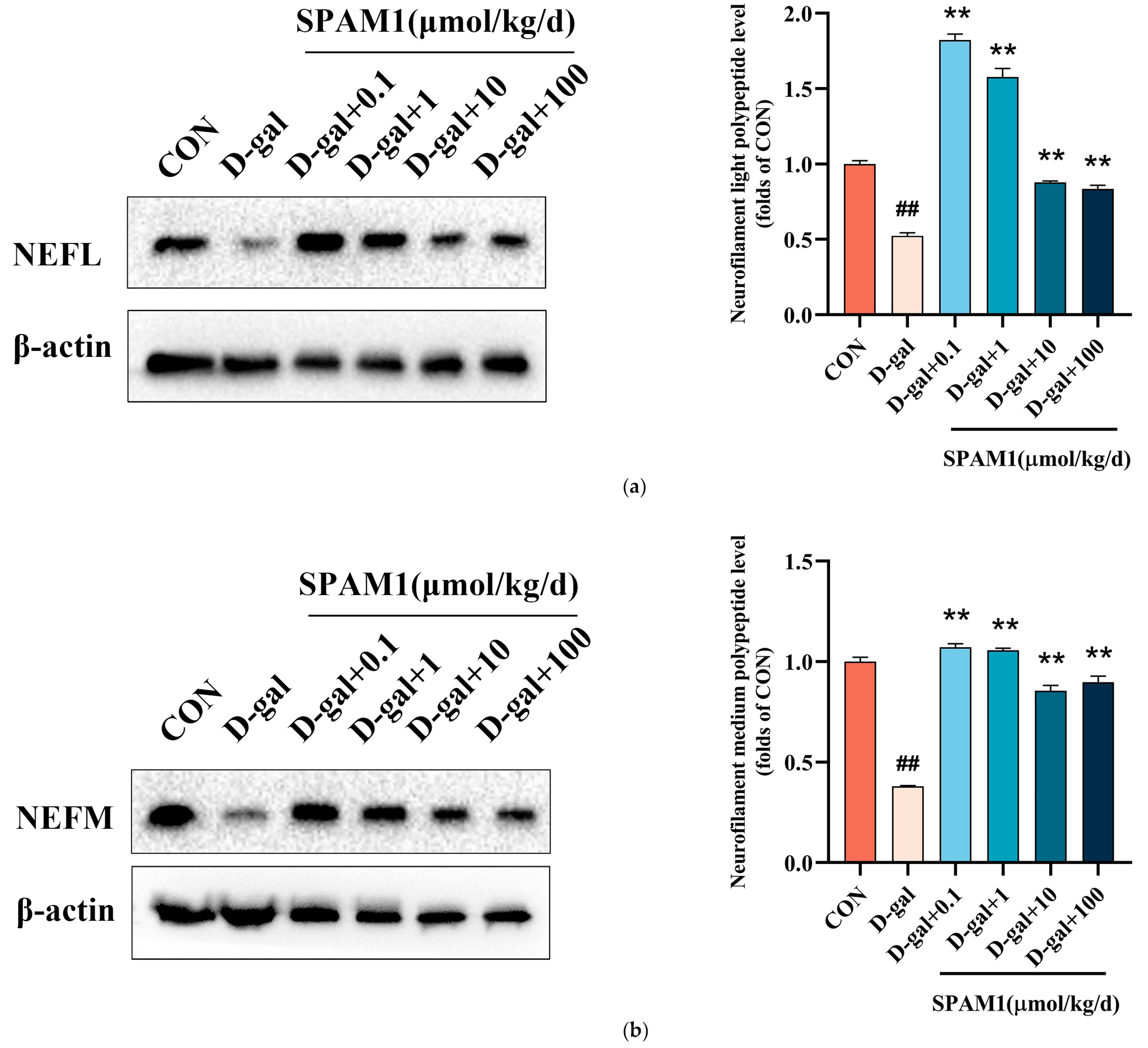 Preprints 100548 g013