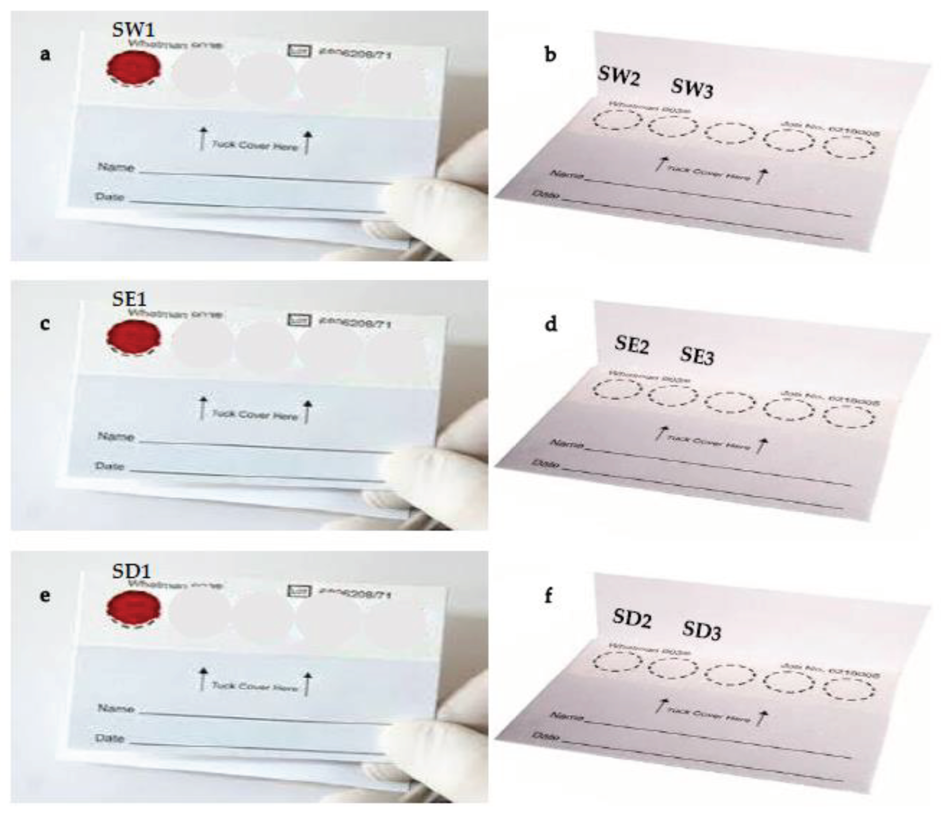 Preprints 99787 g001