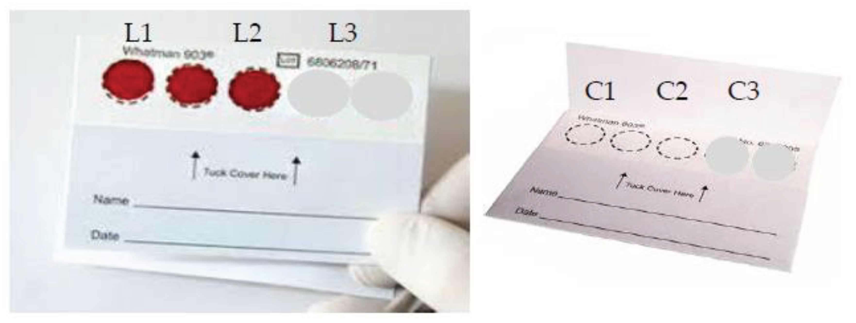 Preprints 99787 g002