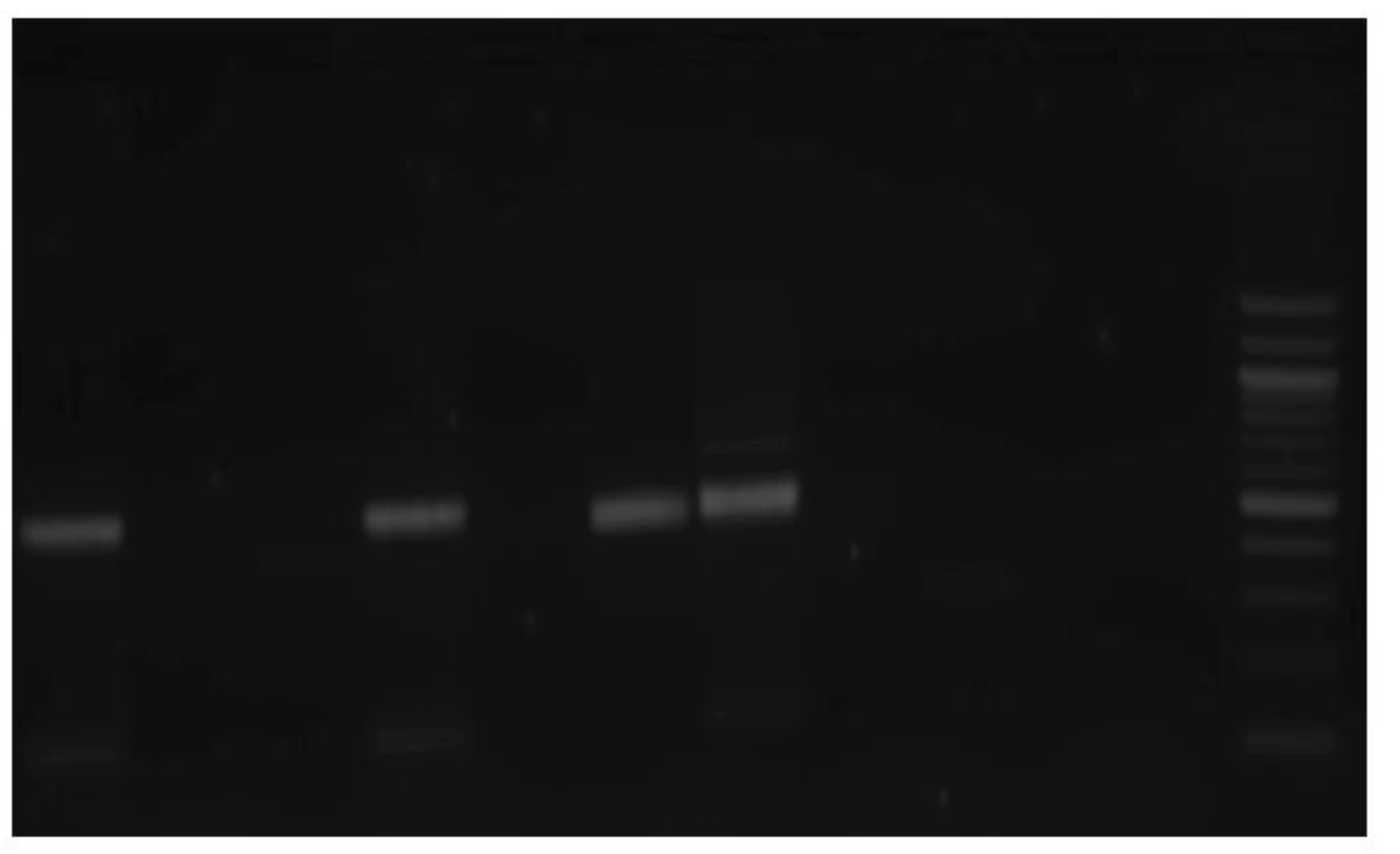 Preprints 99787 g003