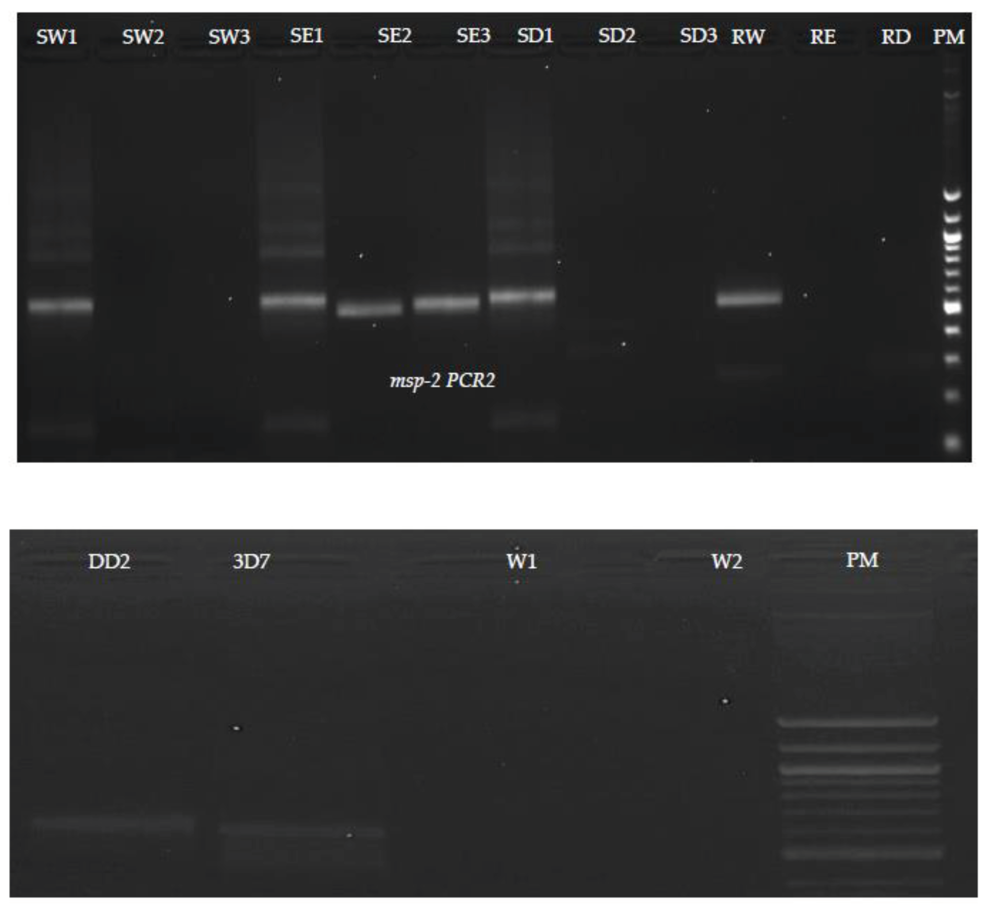 Preprints 99787 g004