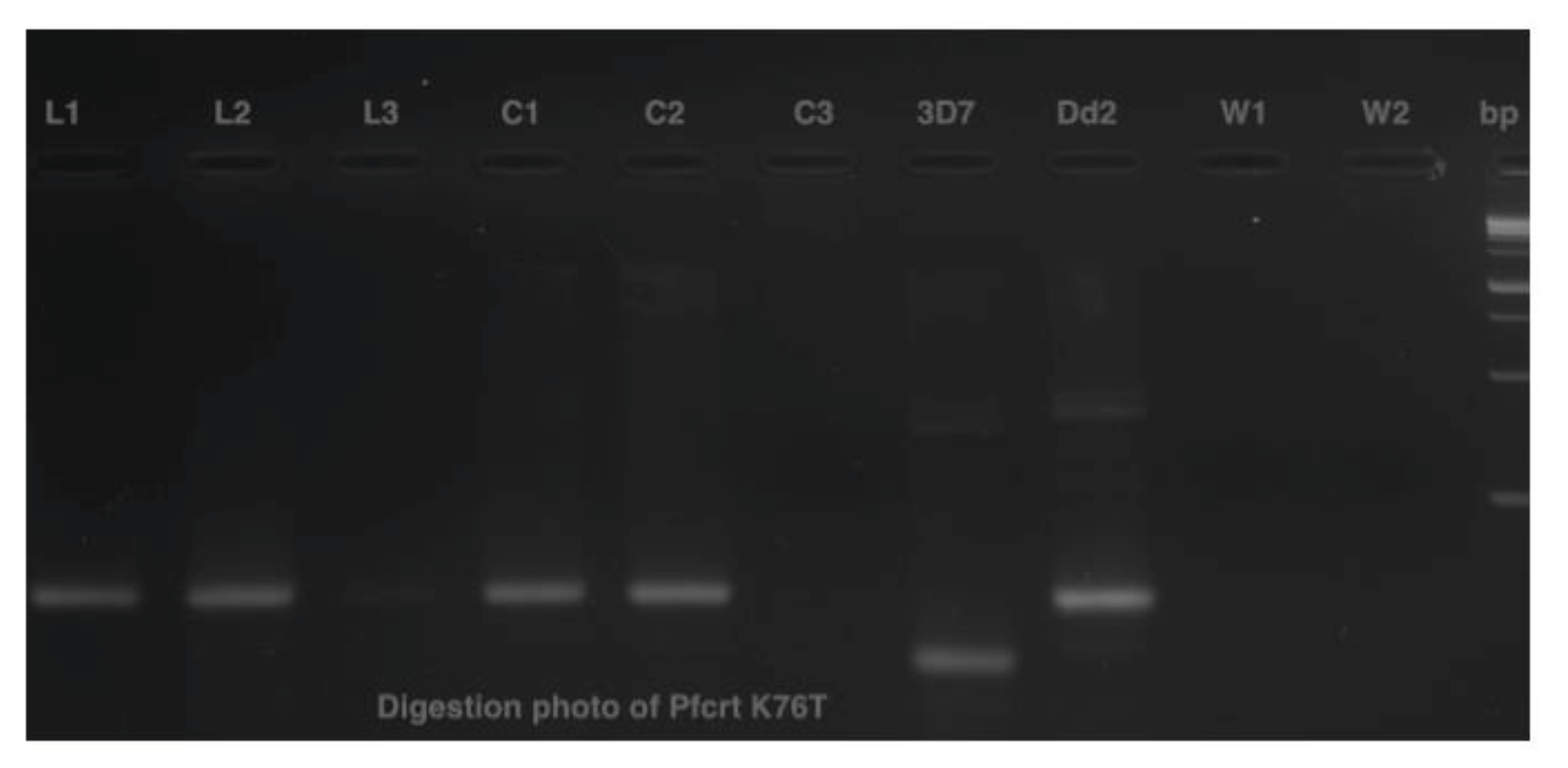 Preprints 99787 g005