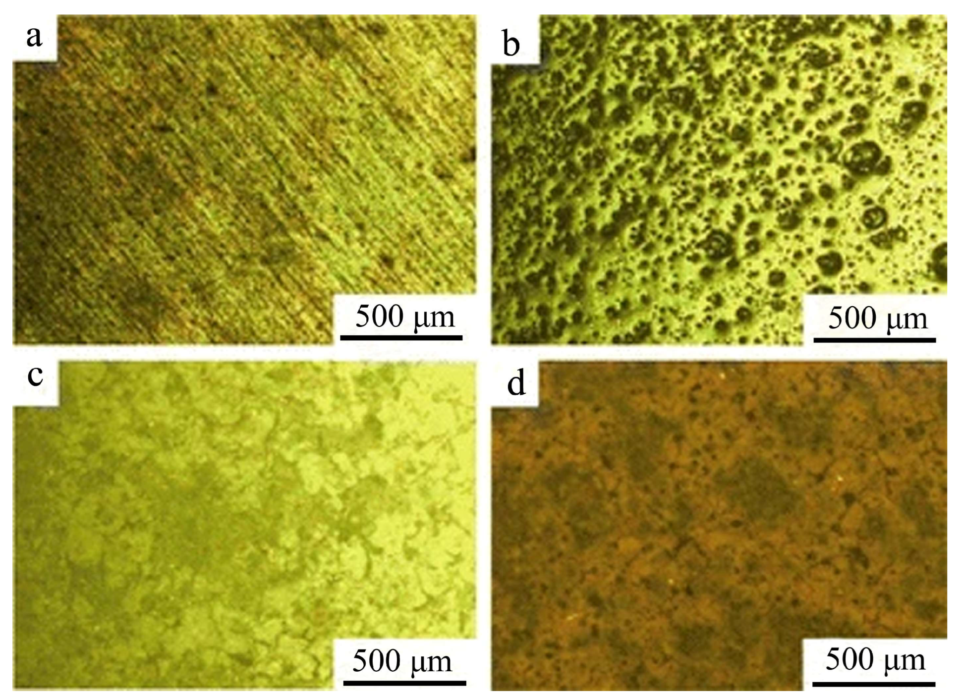 Preprints 152597 g003