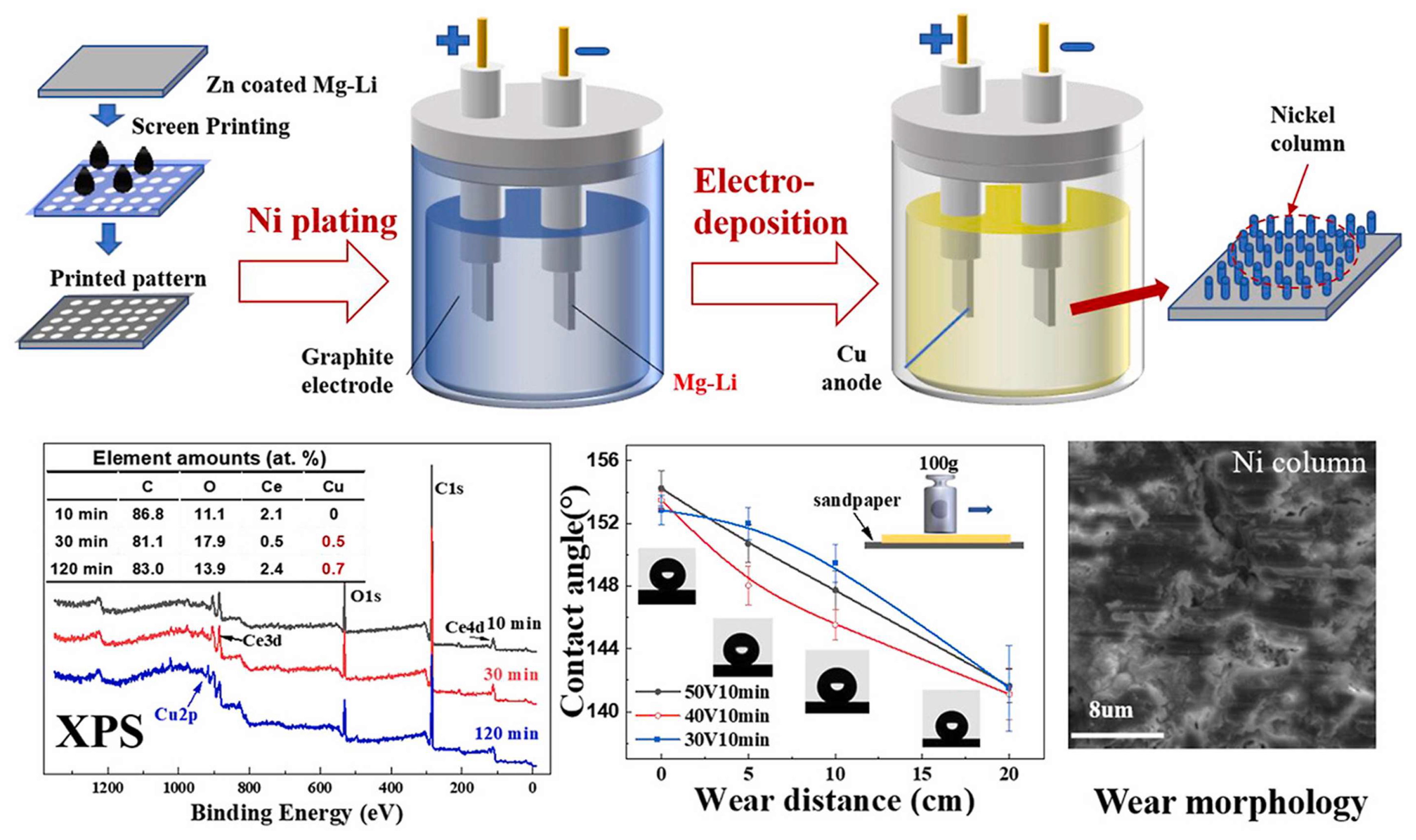 Preprints 152597 g006