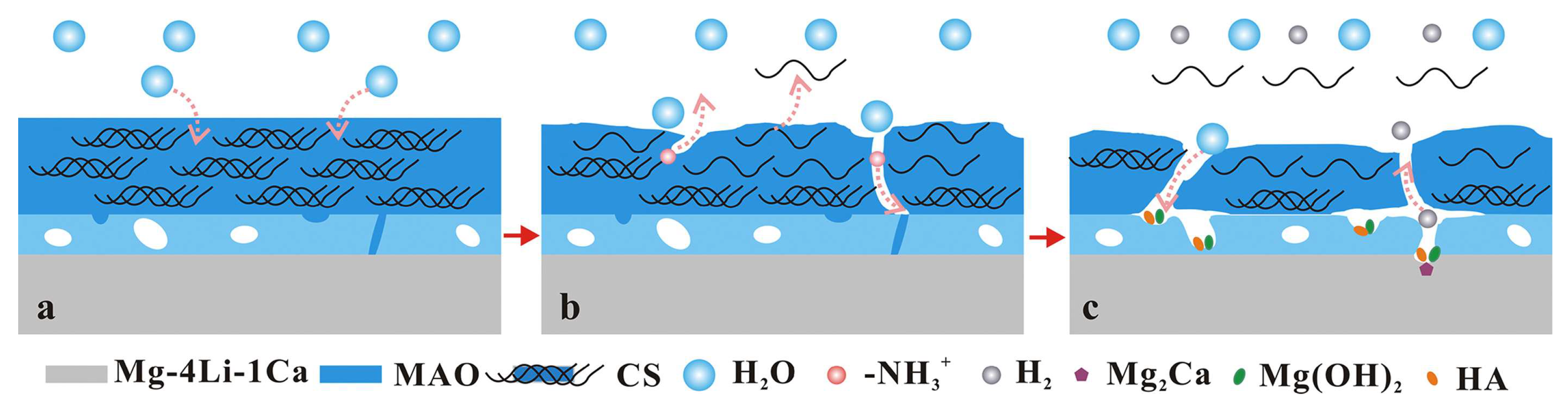 Preprints 152597 g009