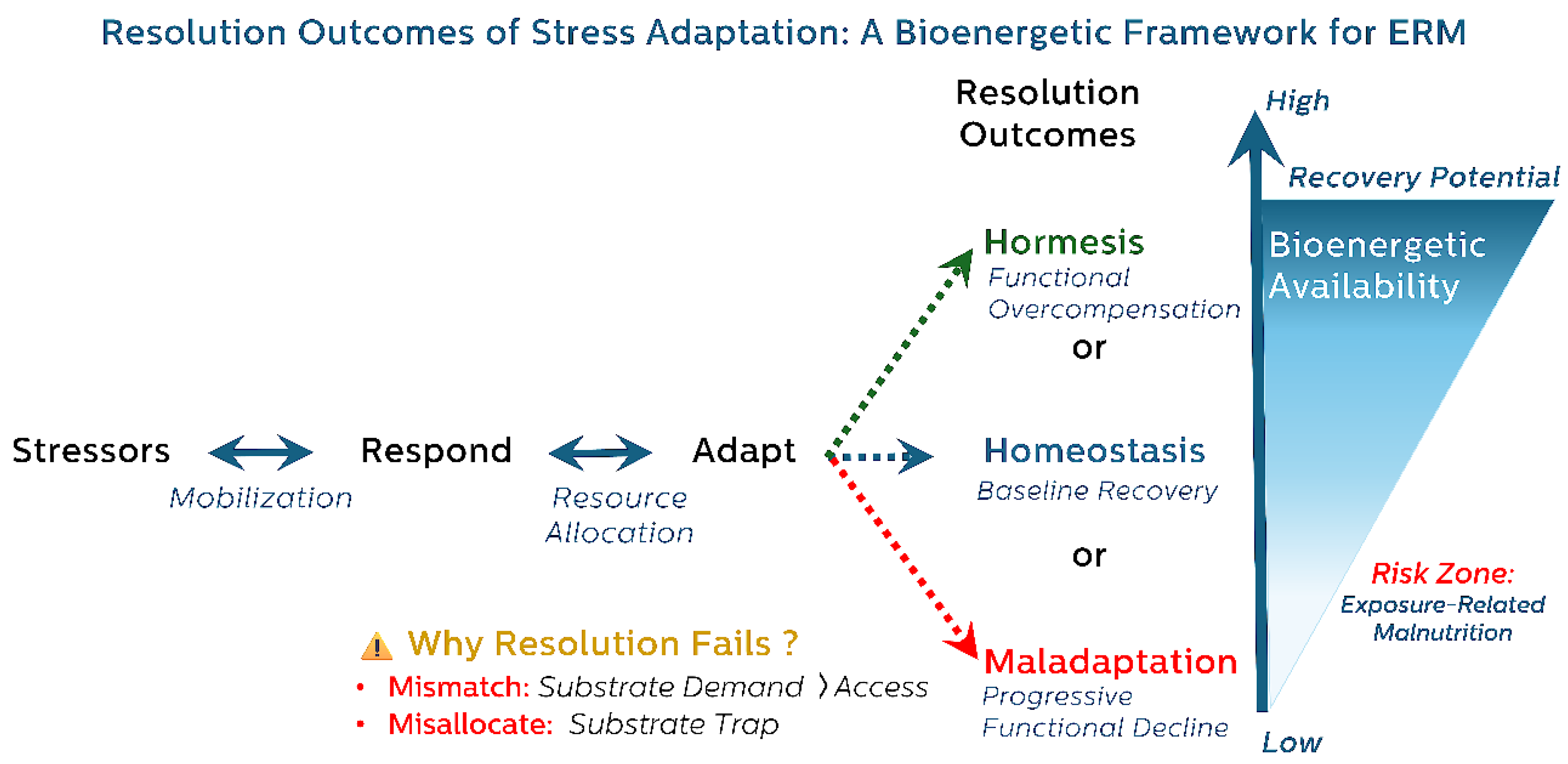 Preprints 170834 g001