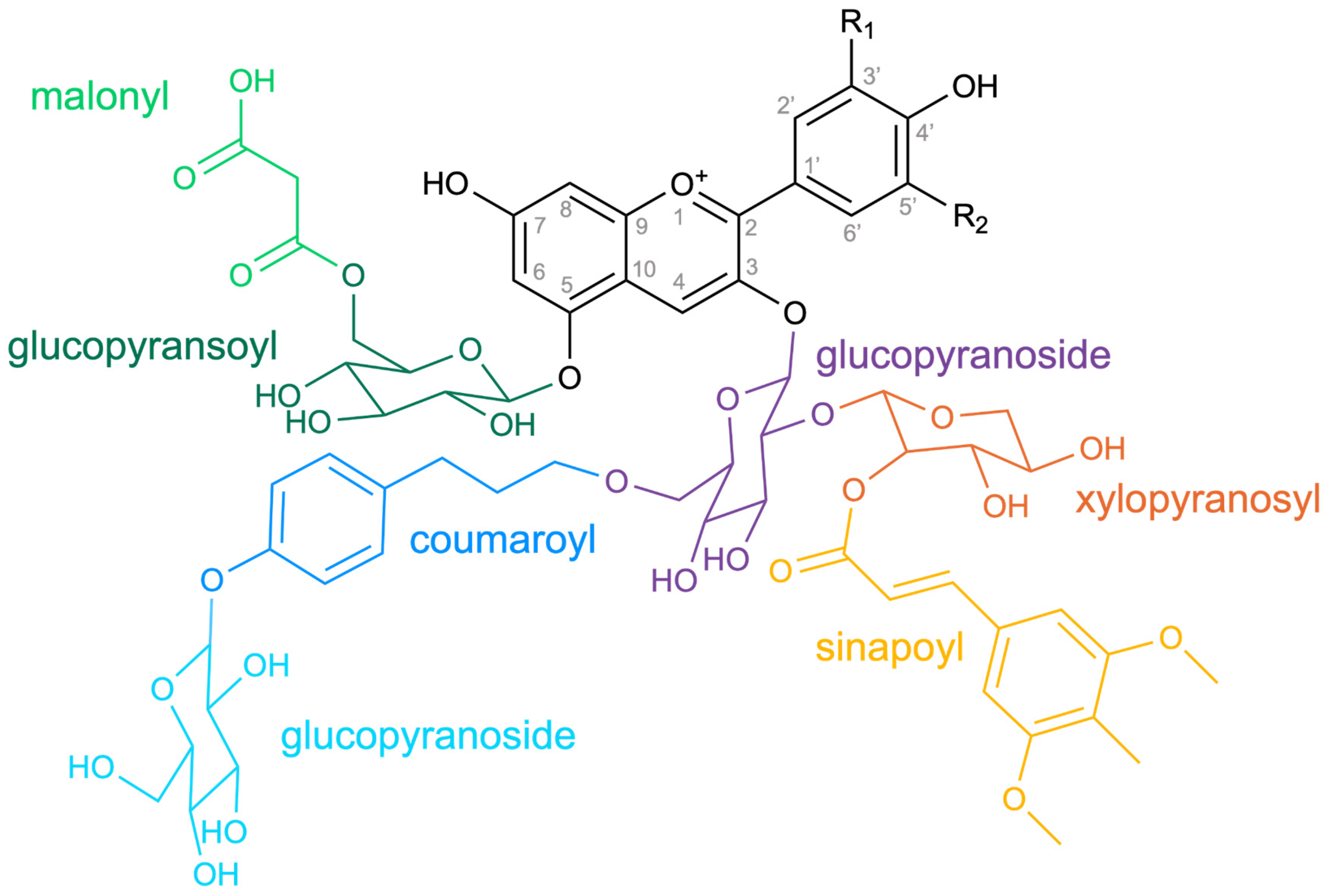 Preprints 185842 g001