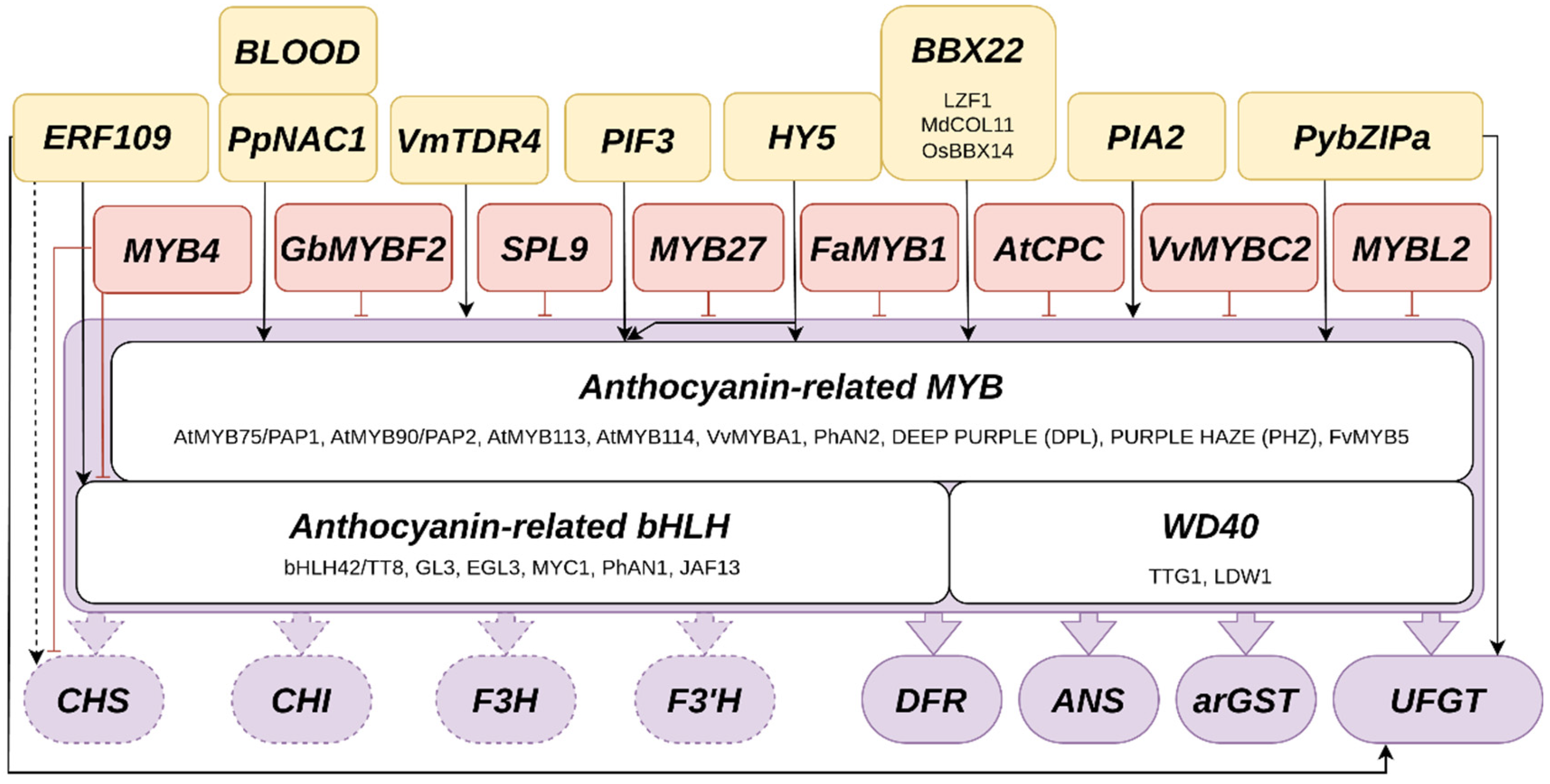 Preprints 185842 g003