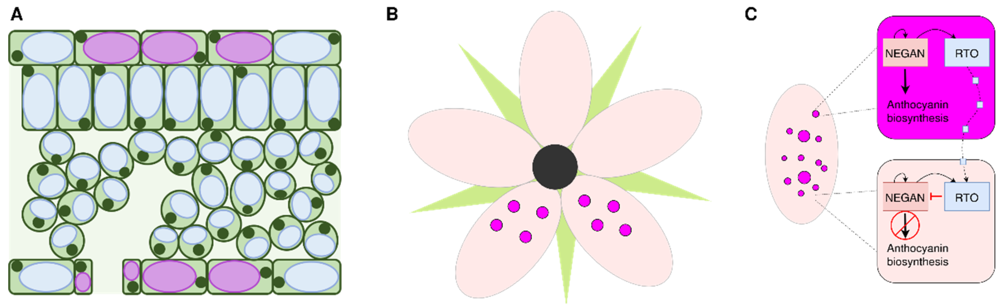 Preprints 185842 g005