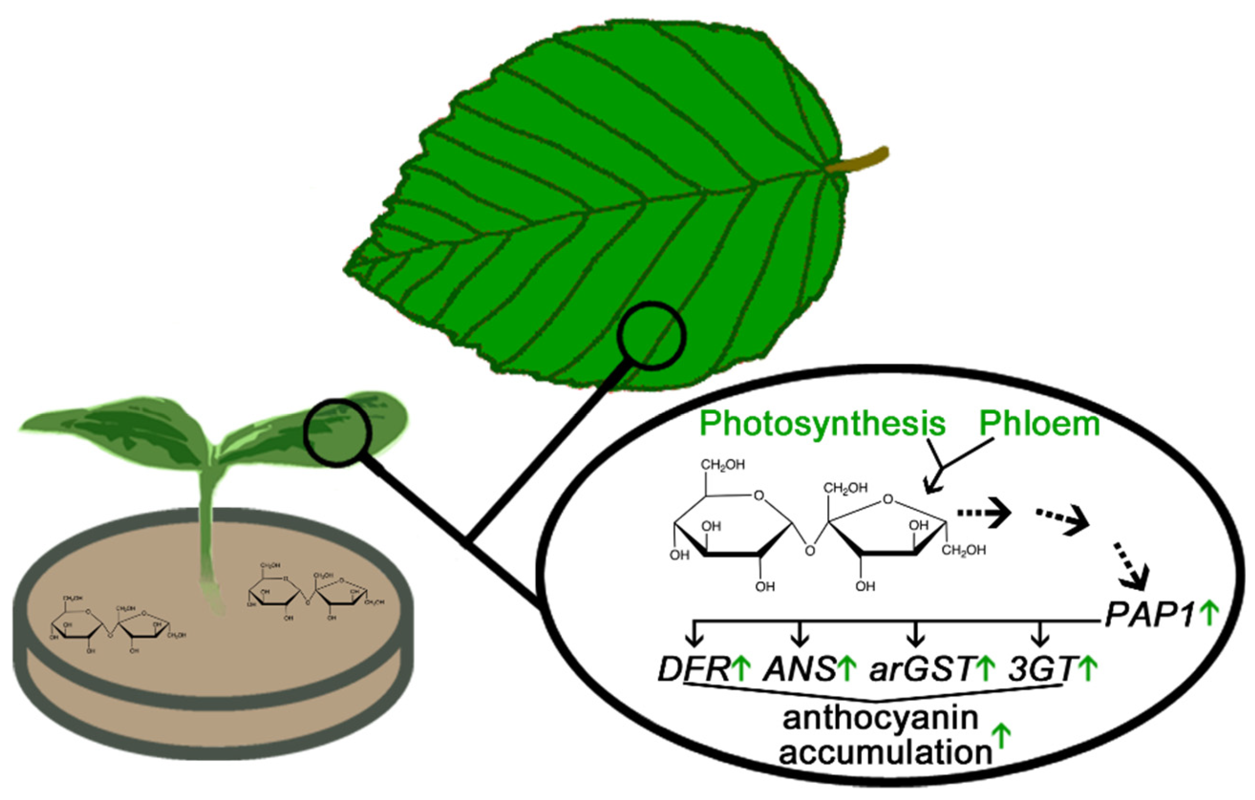 Preprints 185842 g006