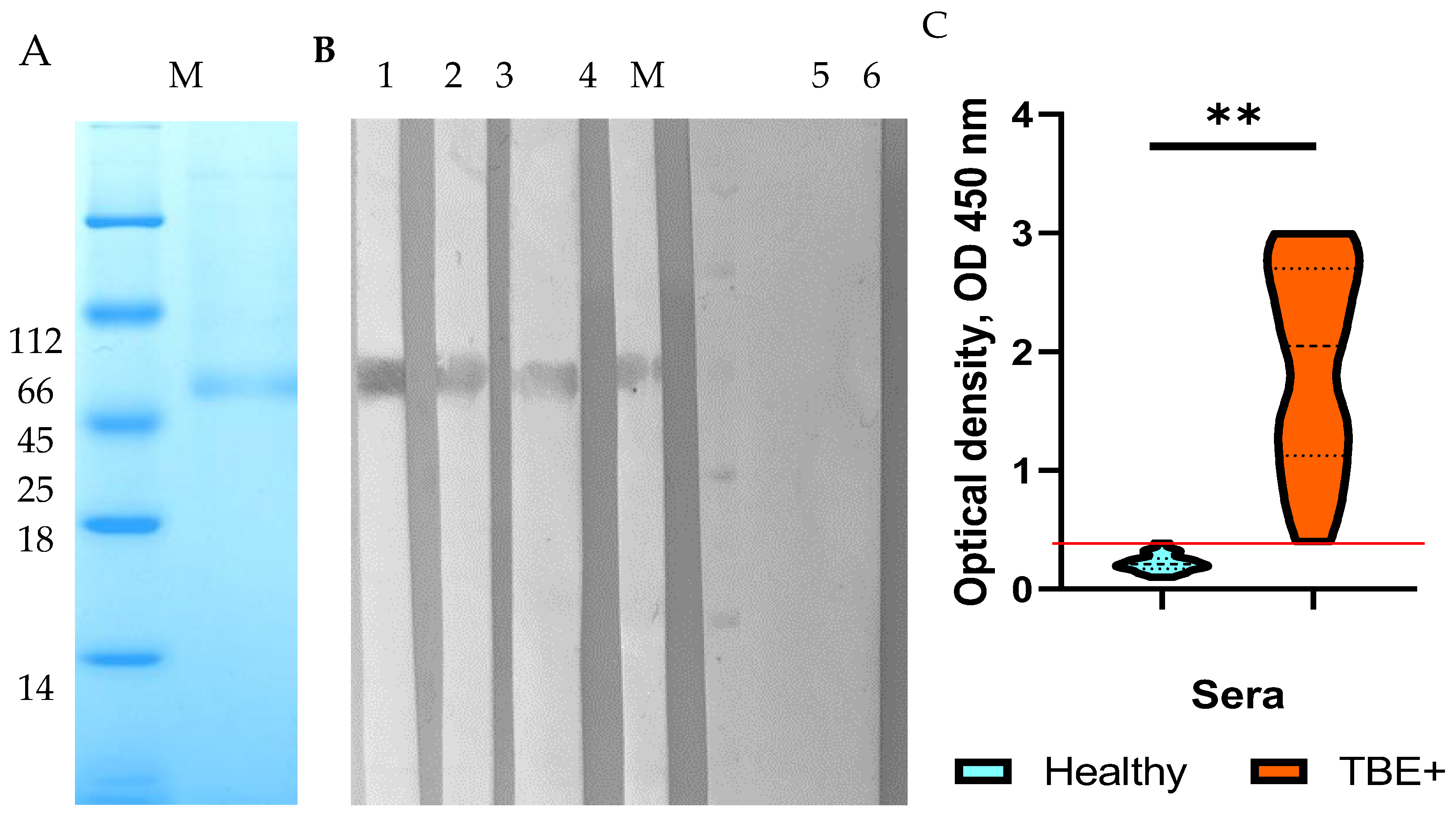 Preprints 158399 g001