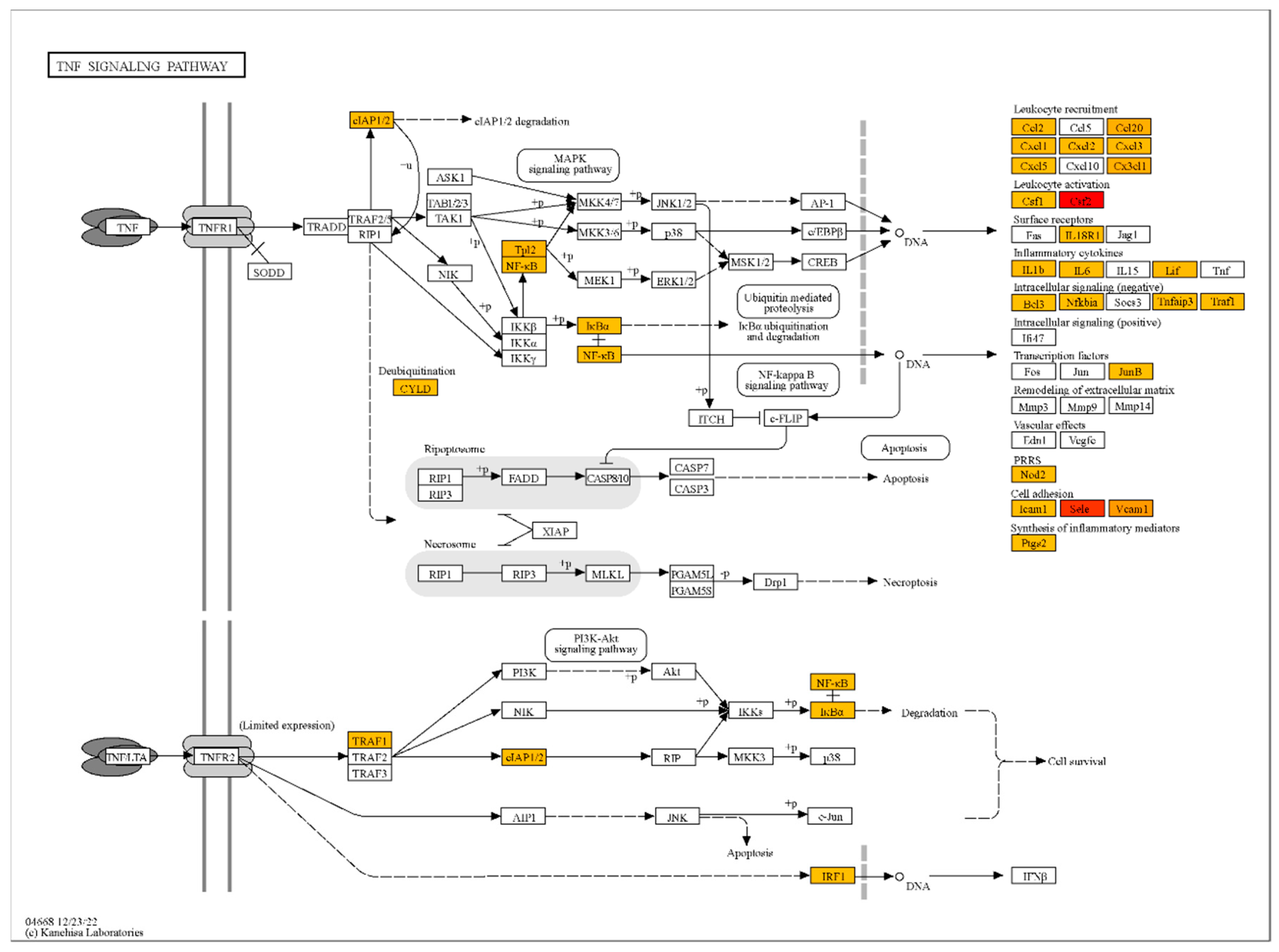Preprints 158399 g003