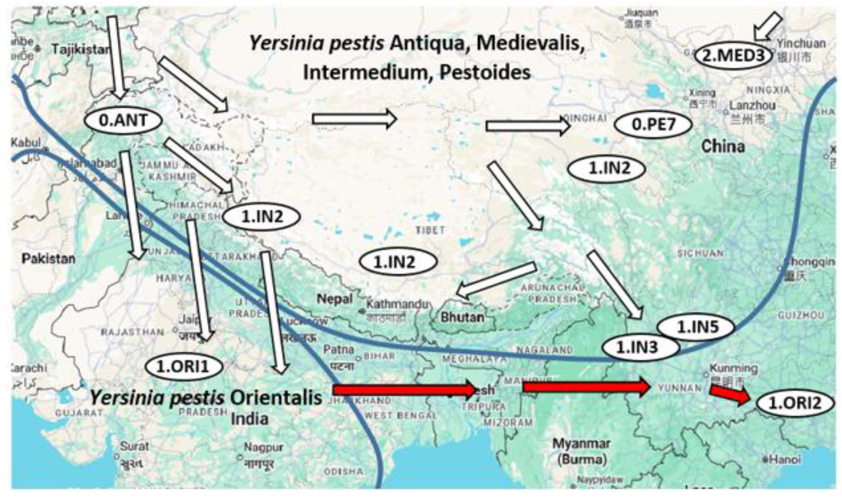 Preprints 186205 g002