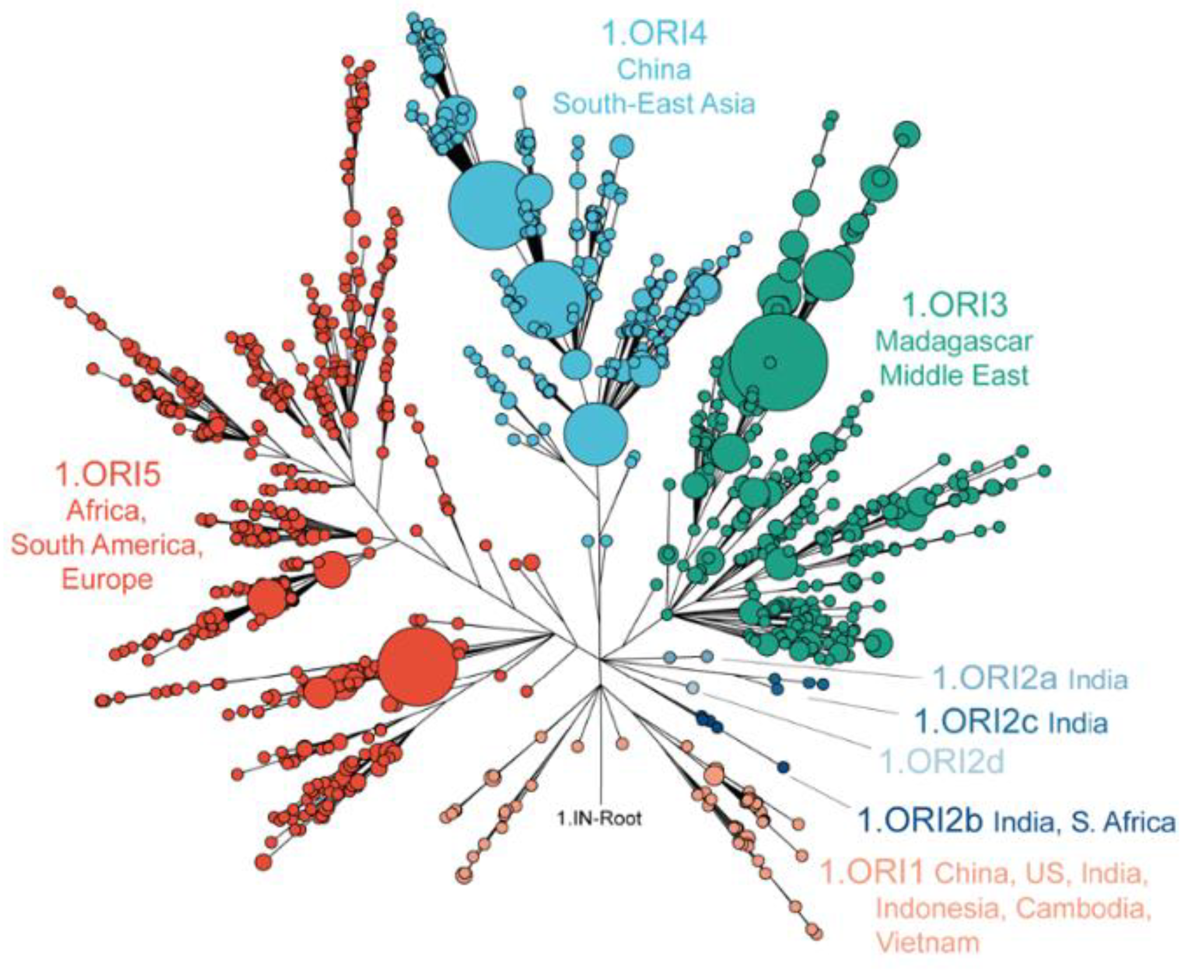 Preprints 186205 g003