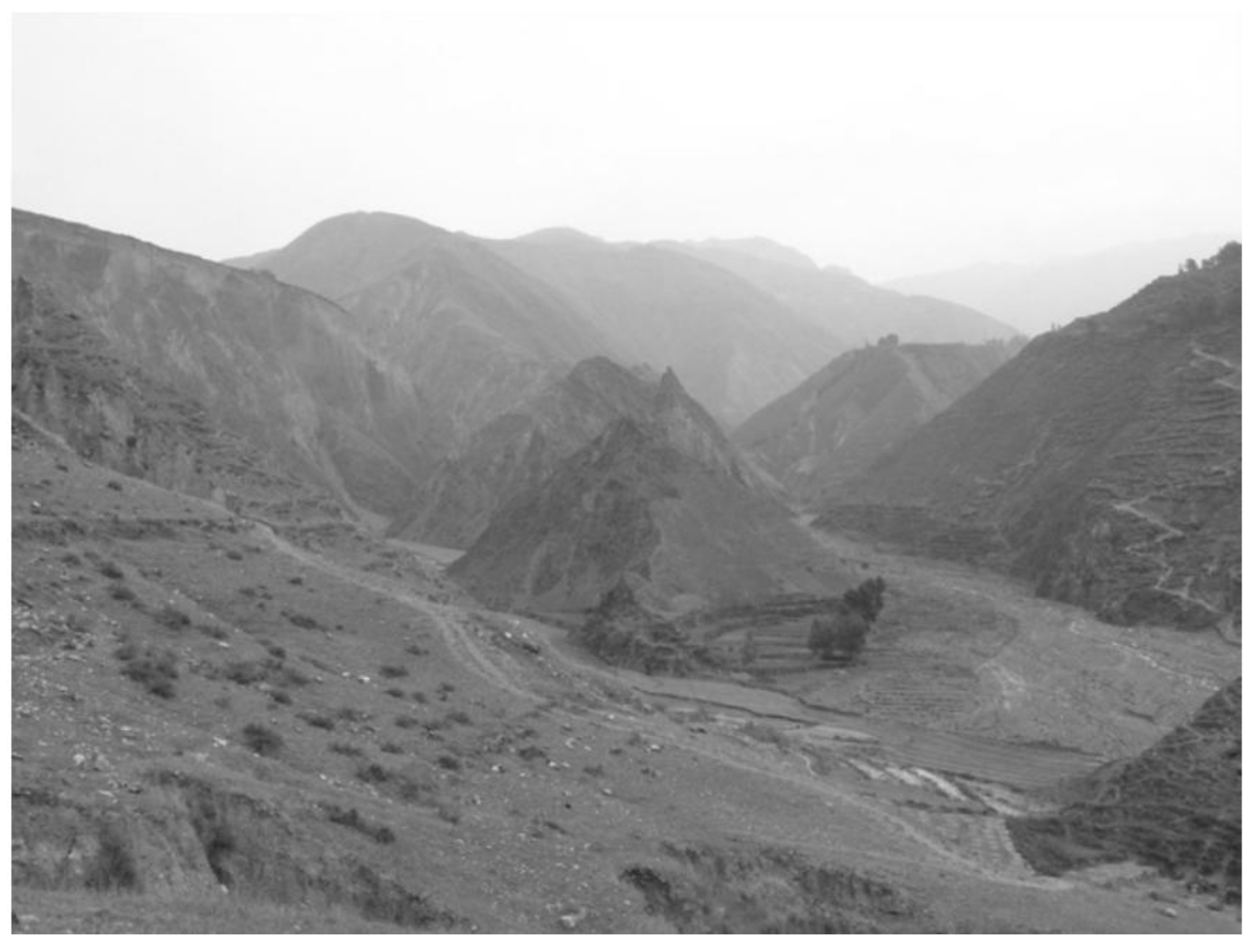 Preprints 186205 g011