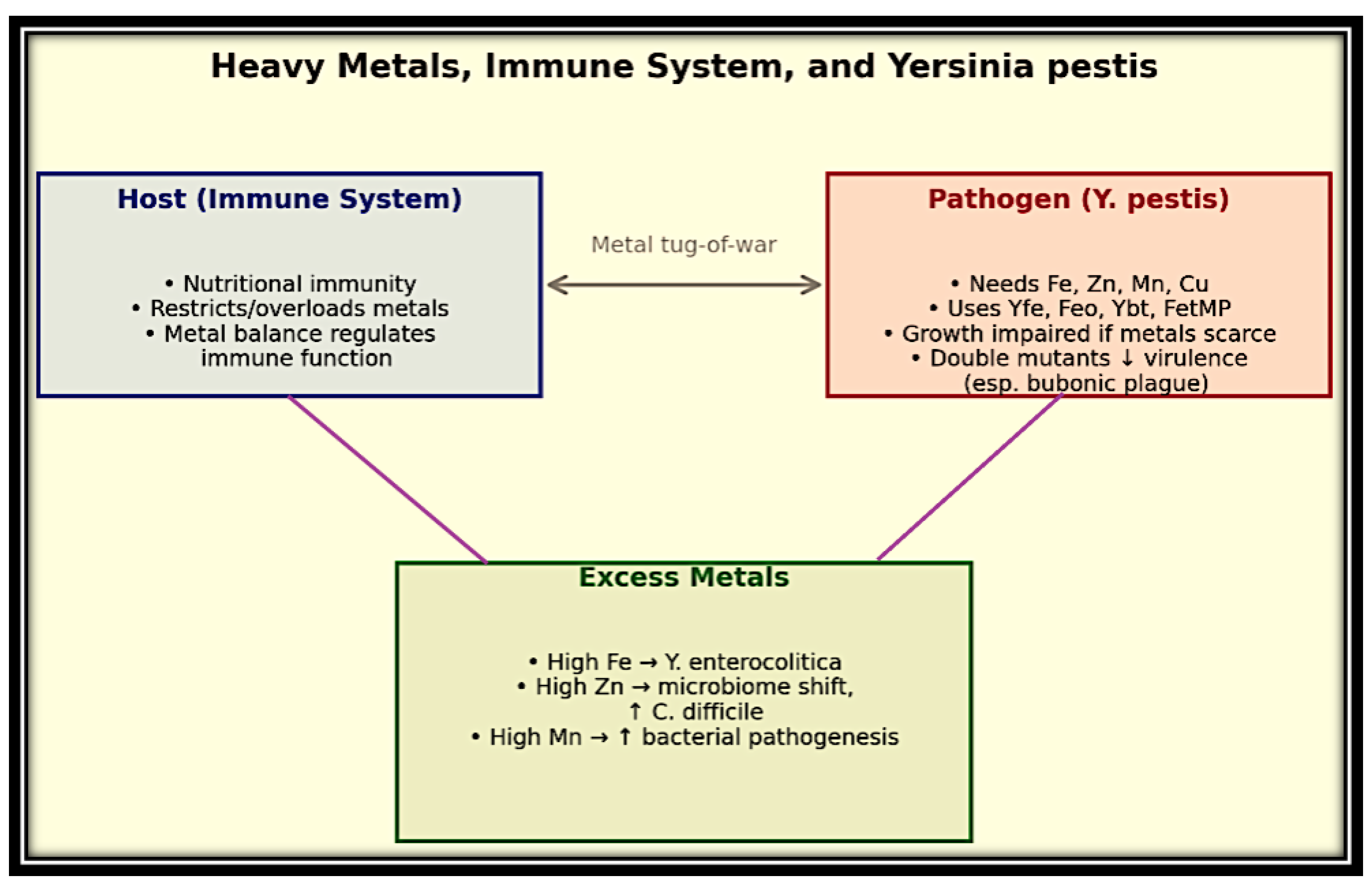 Preprints 186205 g012