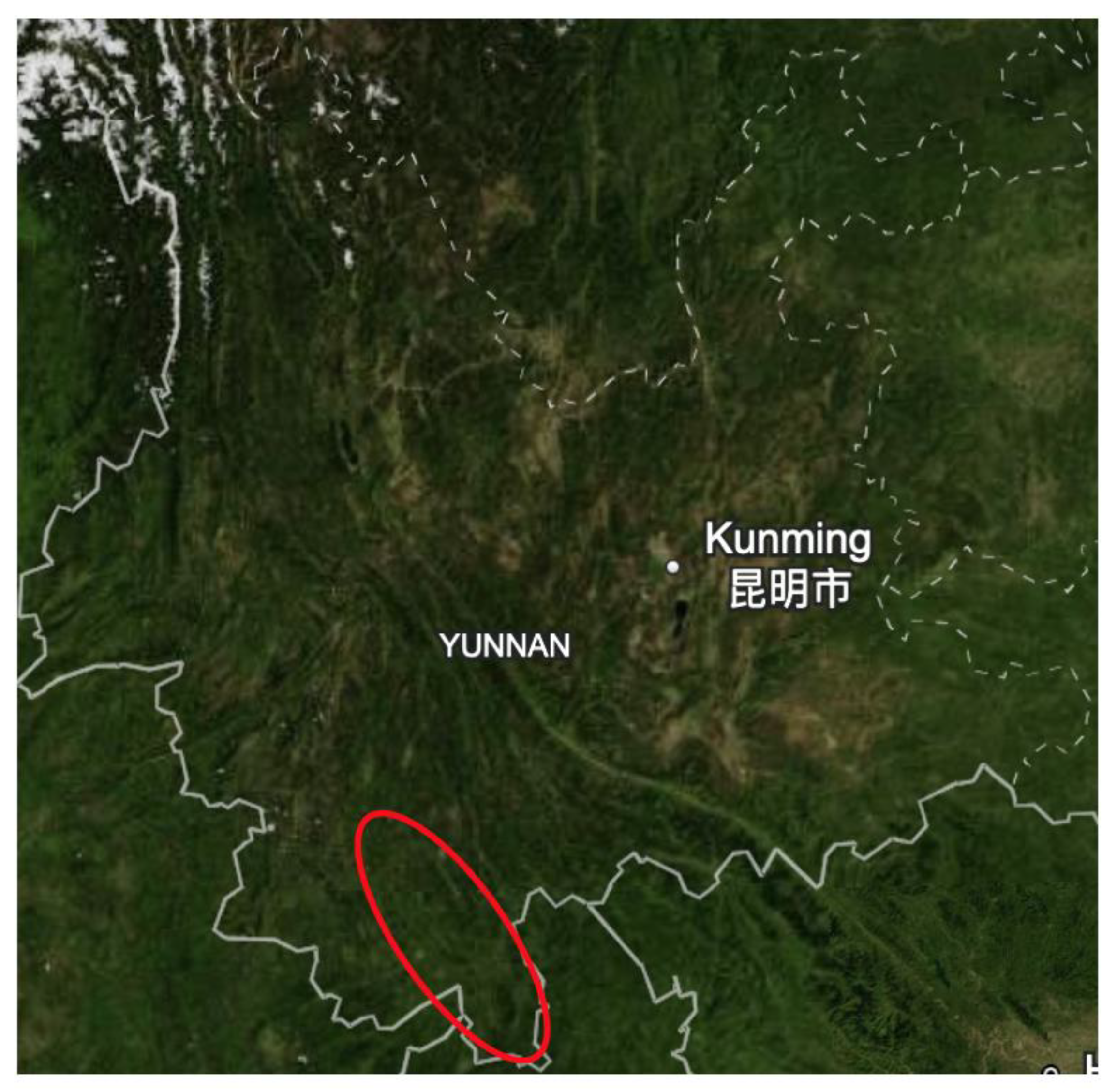 Preprints 186205 g013