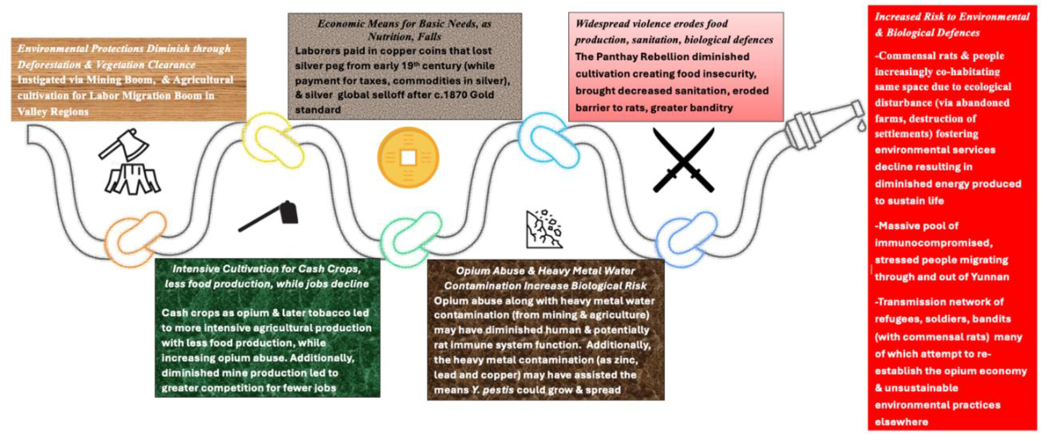Preprints 186205 g017
