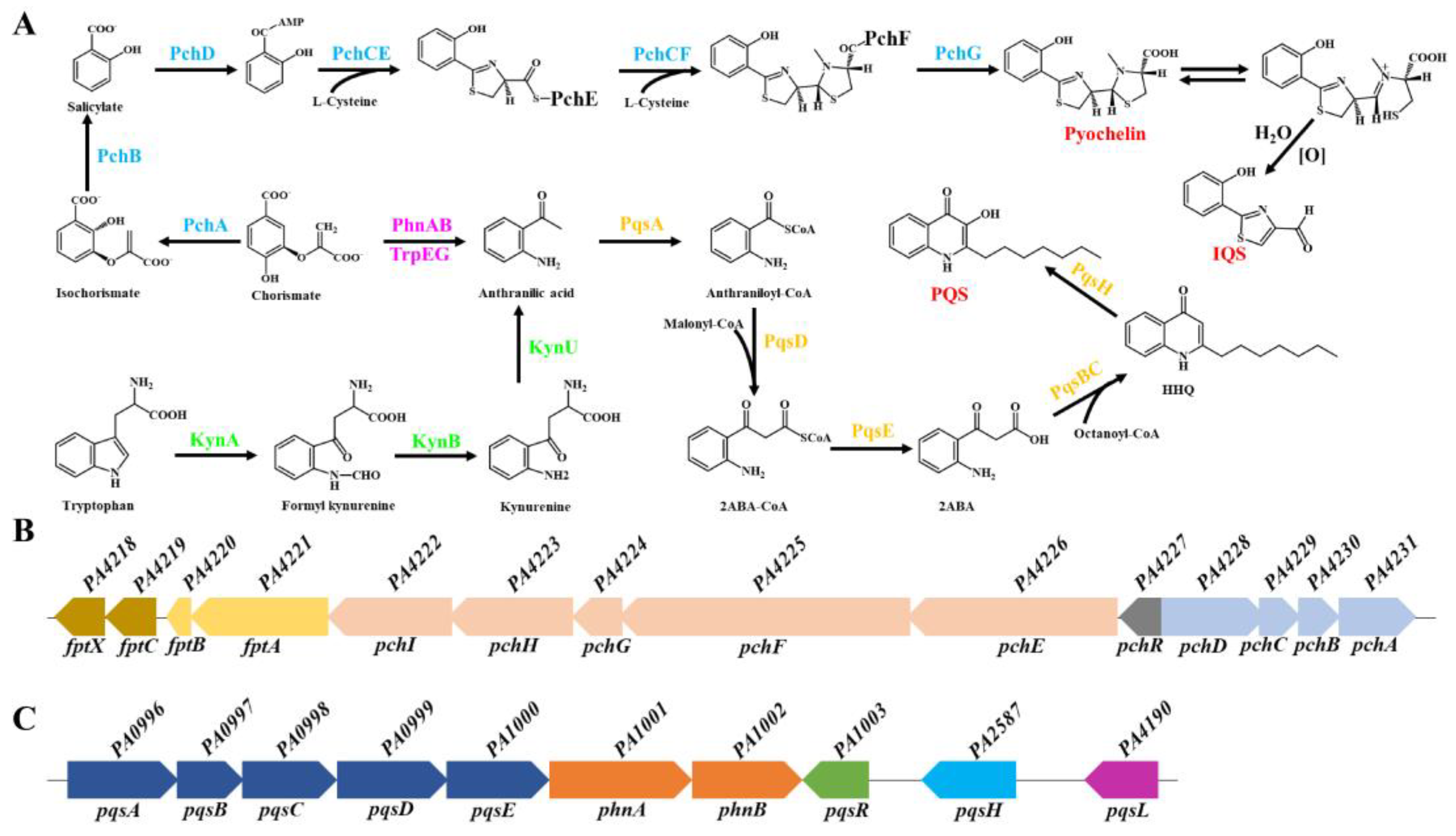 Preprints 111242 g001