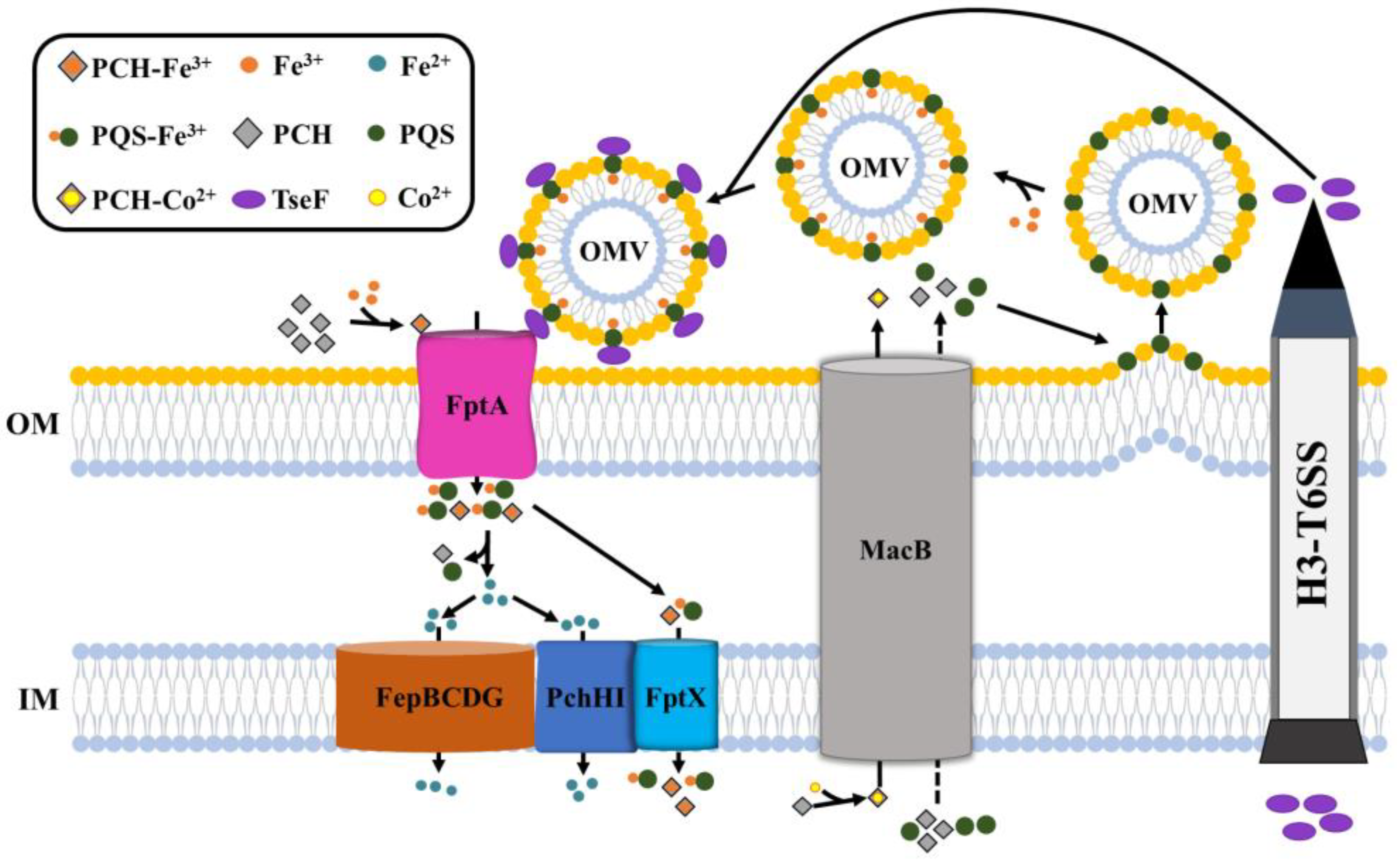 Preprints 111242 g002