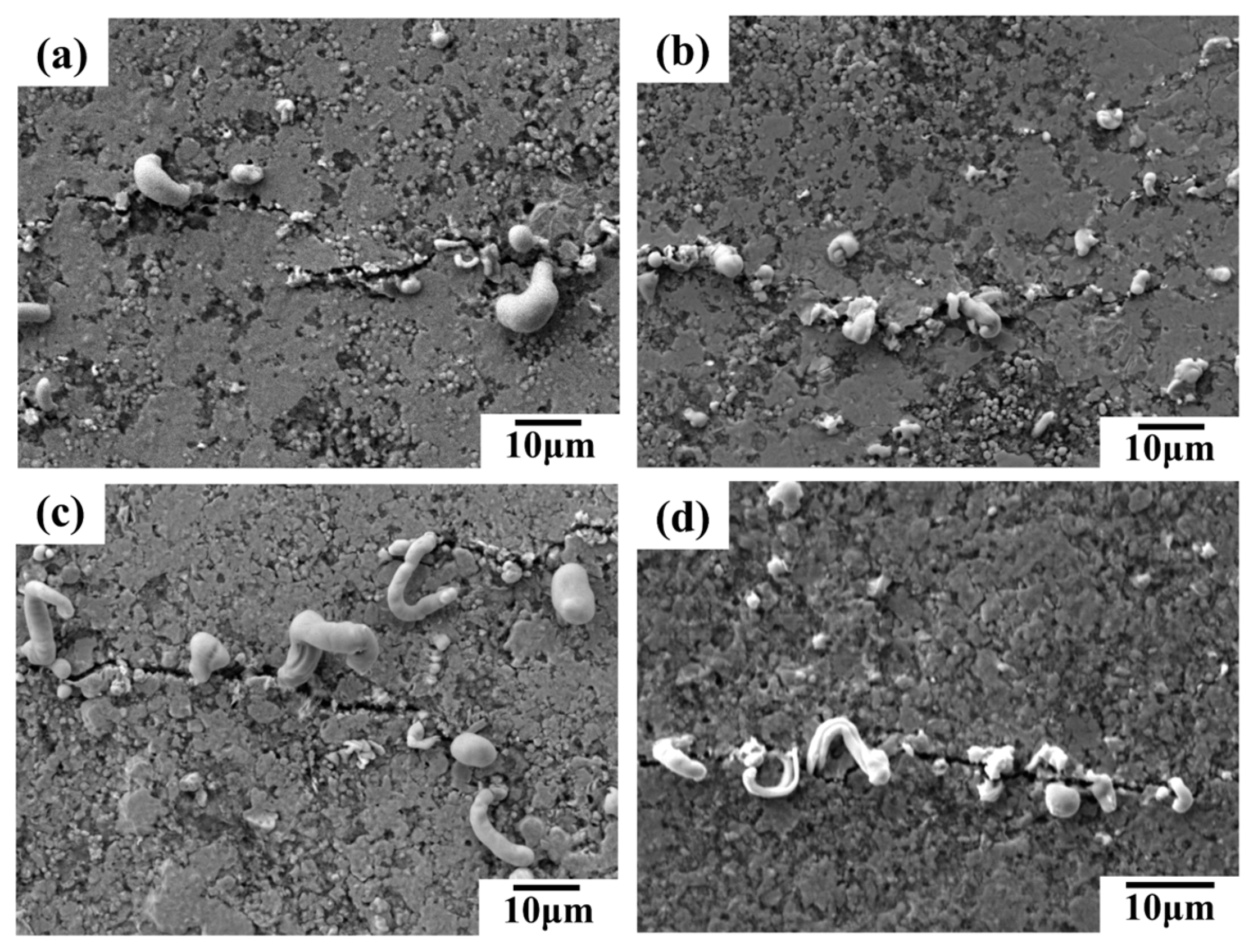 Preprints 109582 g008