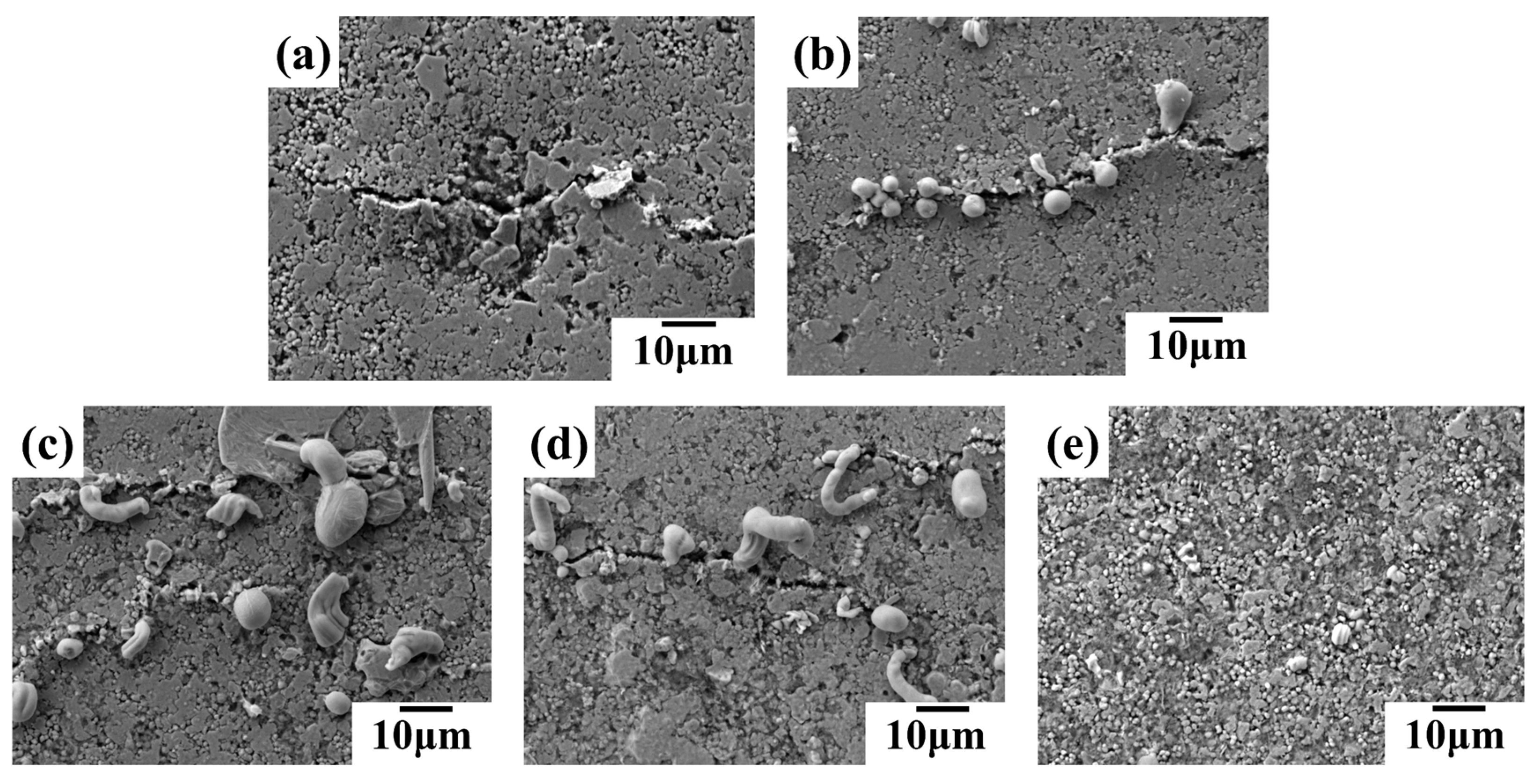 Preprints 109582 g010