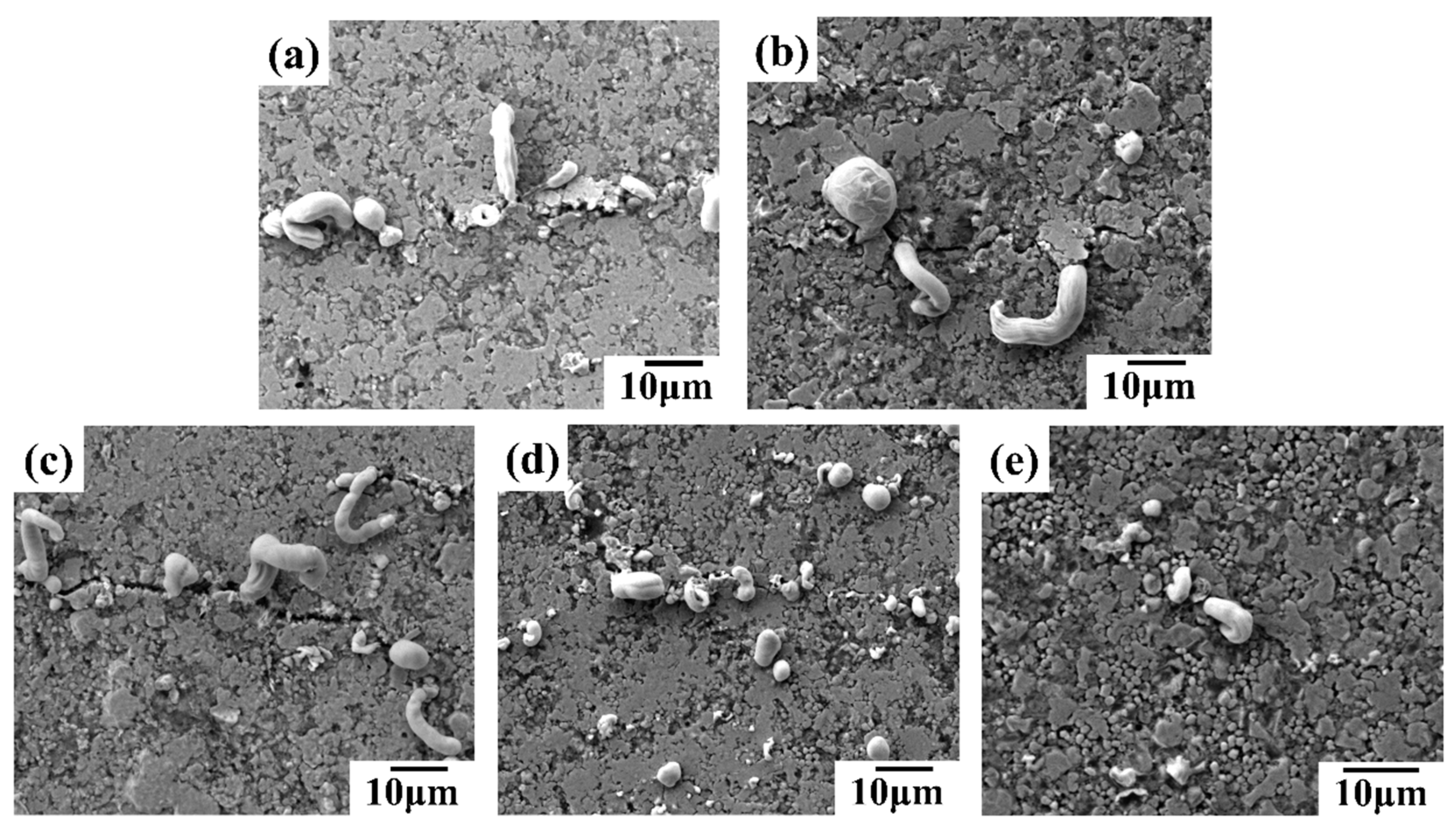 Preprints 109582 g013