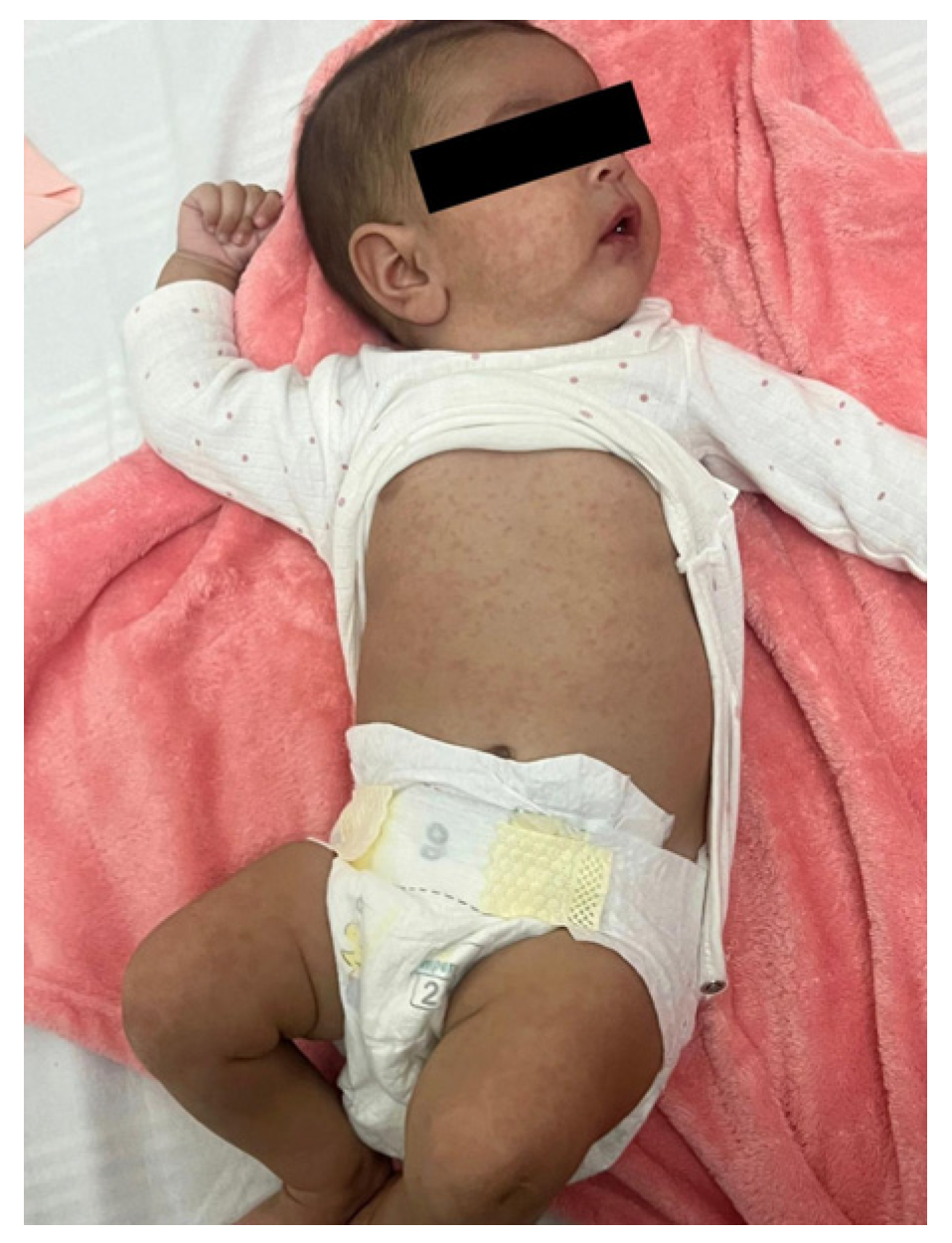 Preprints 199120 g001