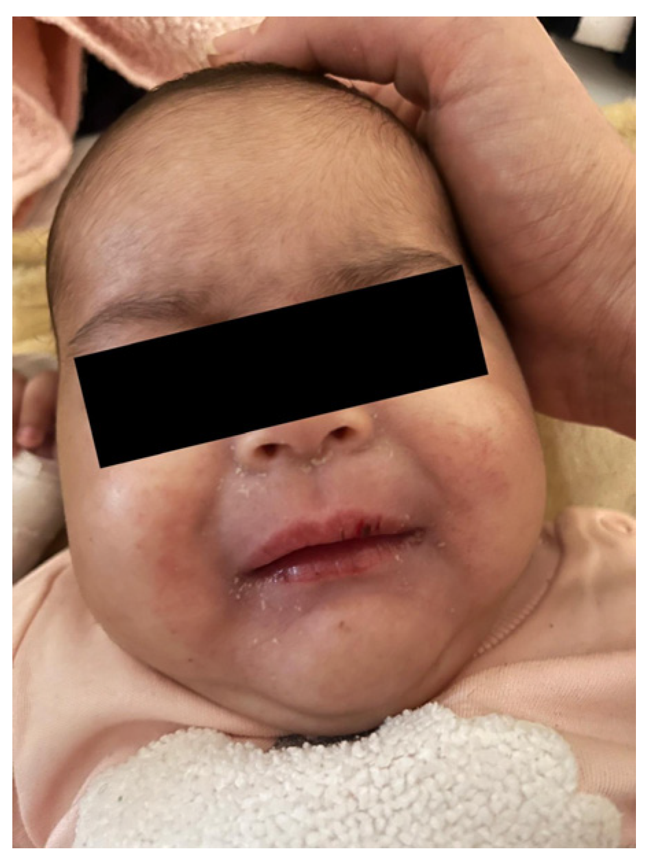 Preprints 199120 g002