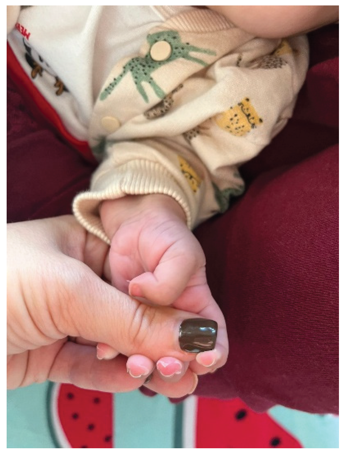 Preprints 199120 g003